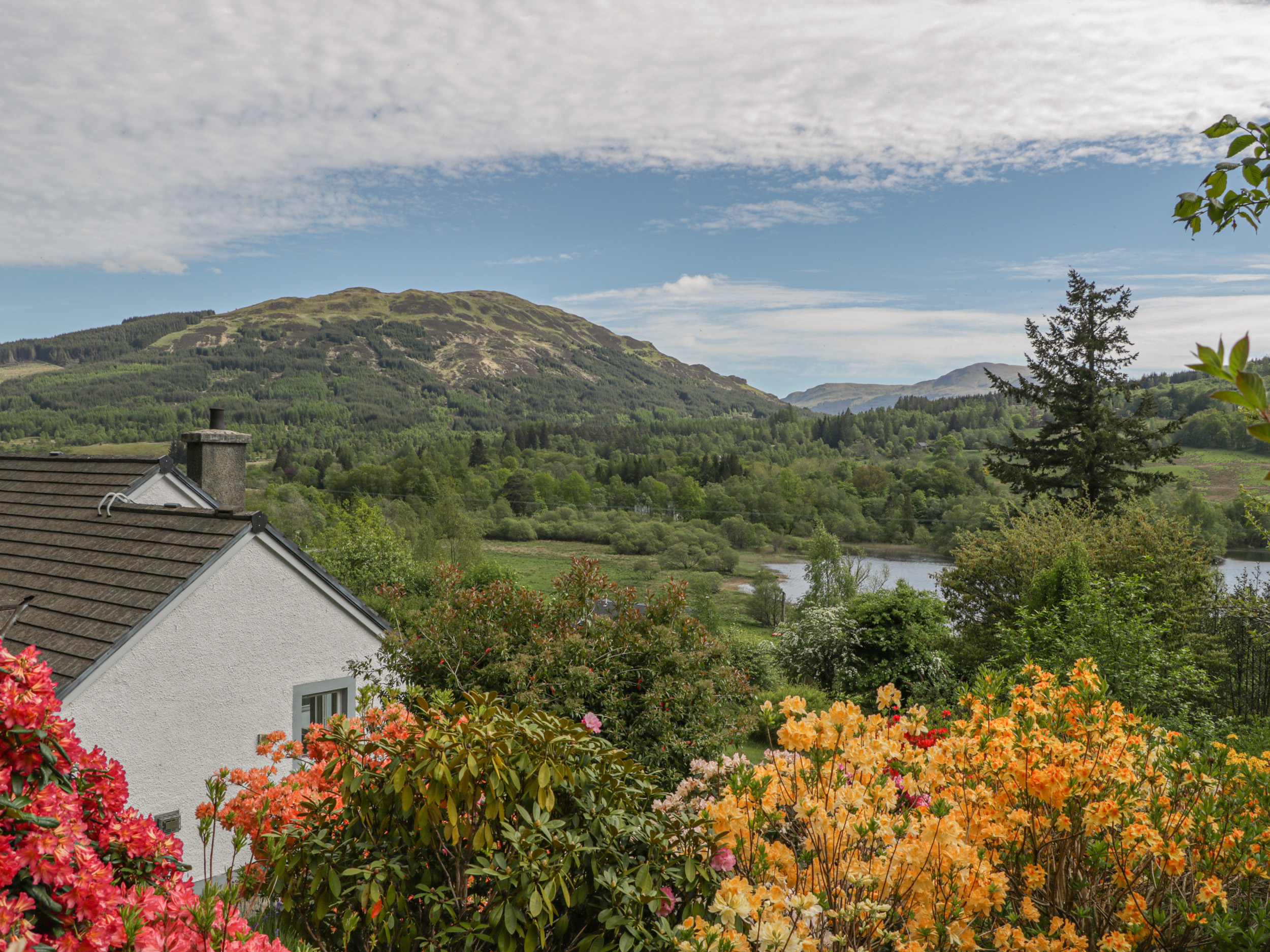 Carnmore - Dog Friendly Holiday Cottage in Balquhidder, Perthshire ...