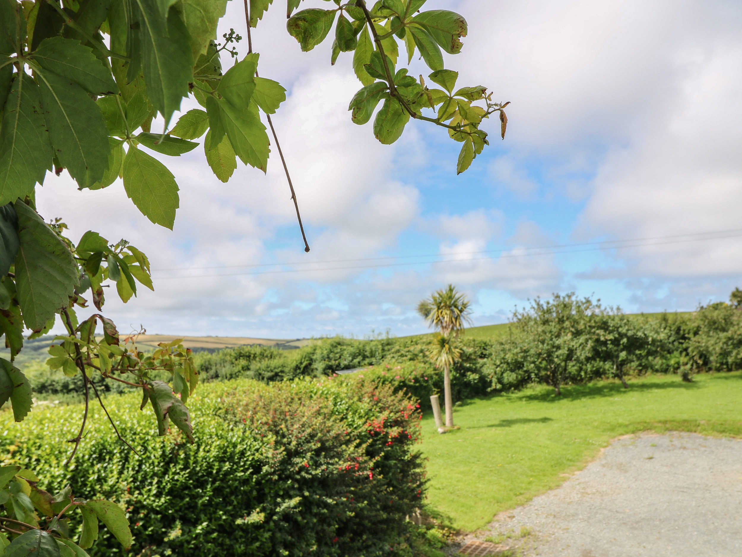 Property image 16 for SC1033599