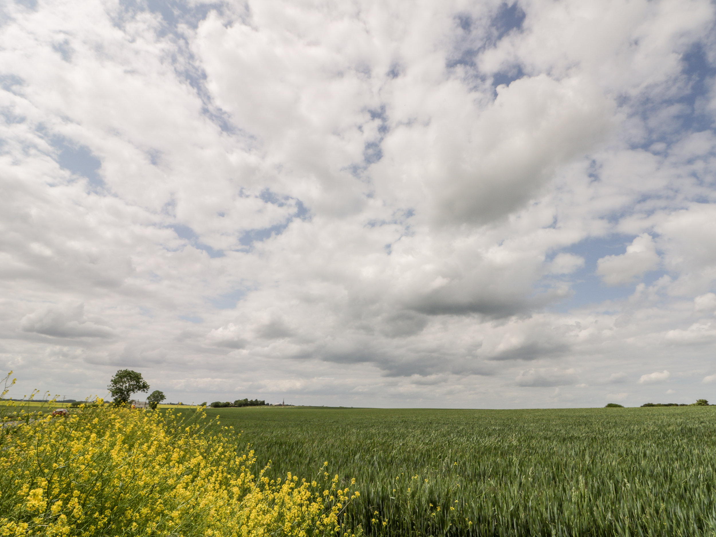 Property image 19 for SC1034737