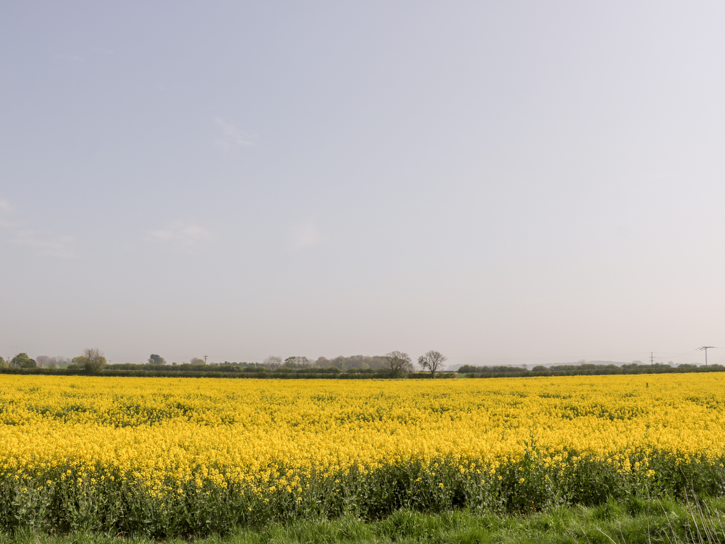 Property image 21 for SC1034737