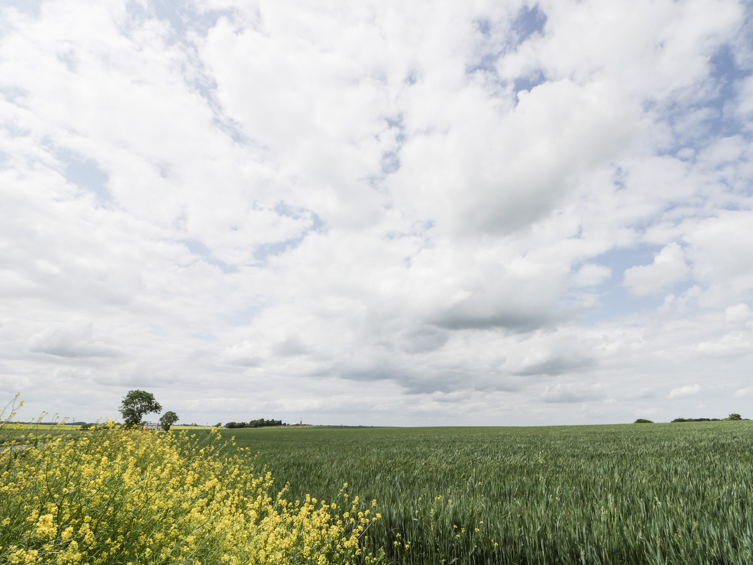 Property image 16 for SC1035060