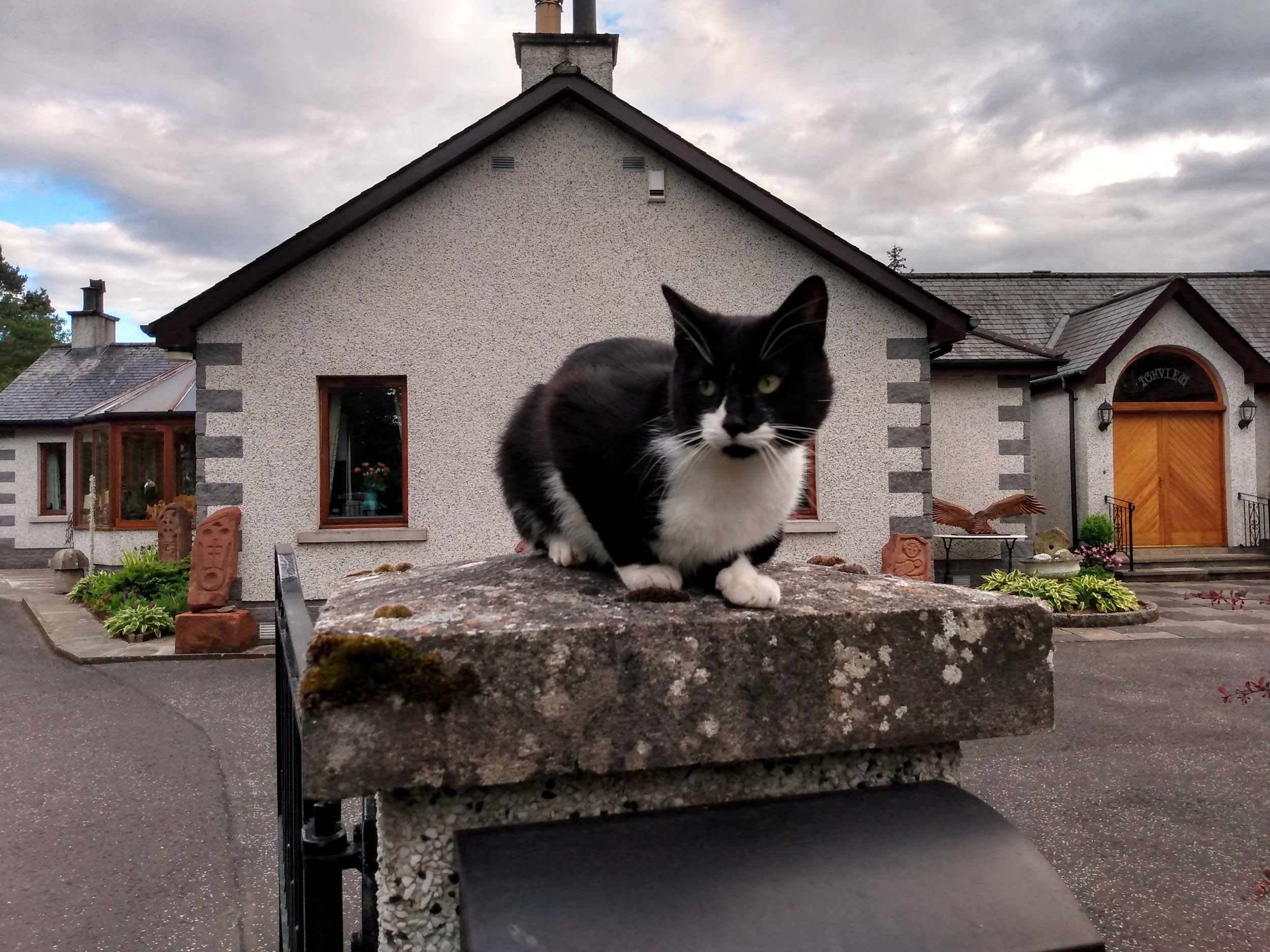 Torview House, Peebles Dog Friendly Holiday Cottage in Scottish Borders