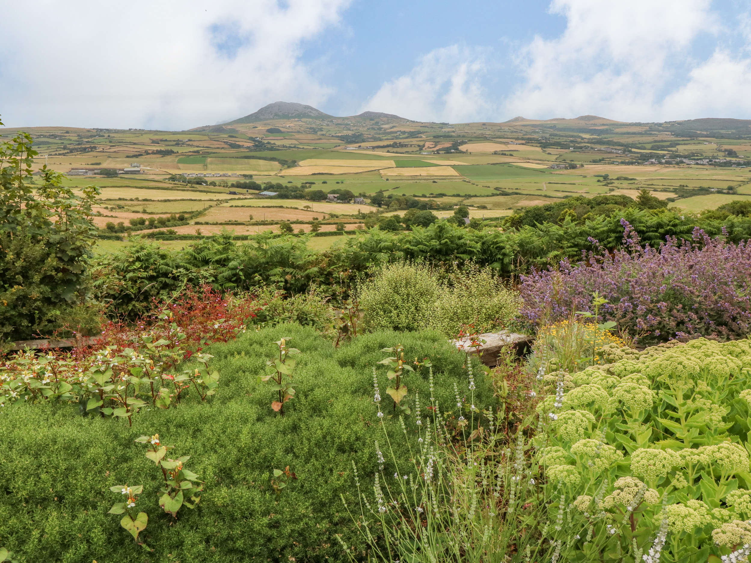 Dairy Cottage, Sarn Meyllteyrn Dog Friendly Holiday Cottage in