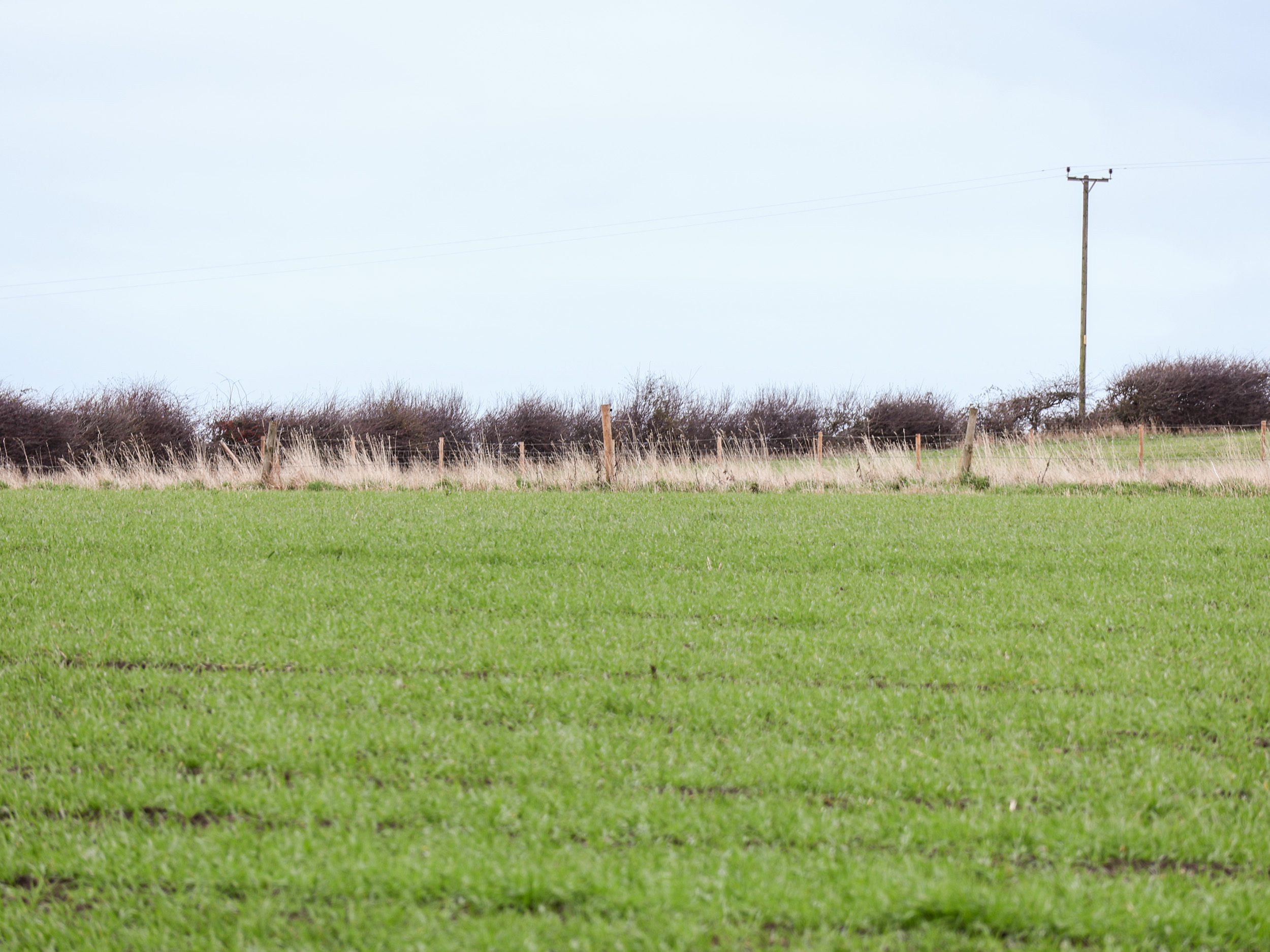 North Terrace, Loftus Dog Friendly Holiday Cottage in North York