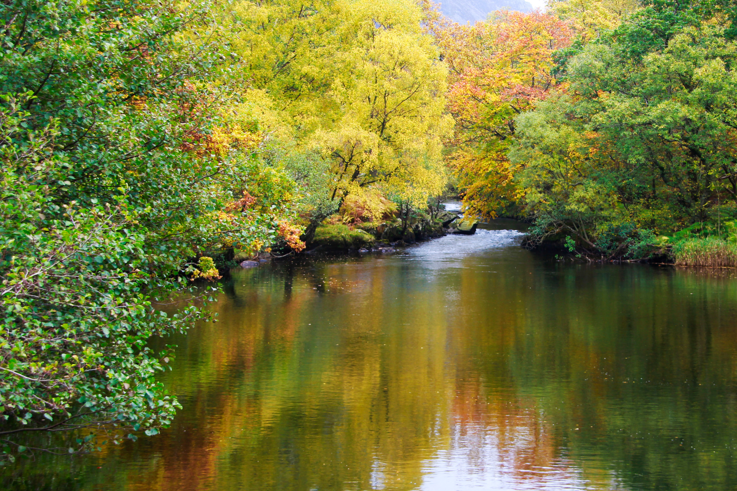 Gwel y Mynydd - Dog Friendly Holiday Cottage in Bethesda - Snowdonia ...