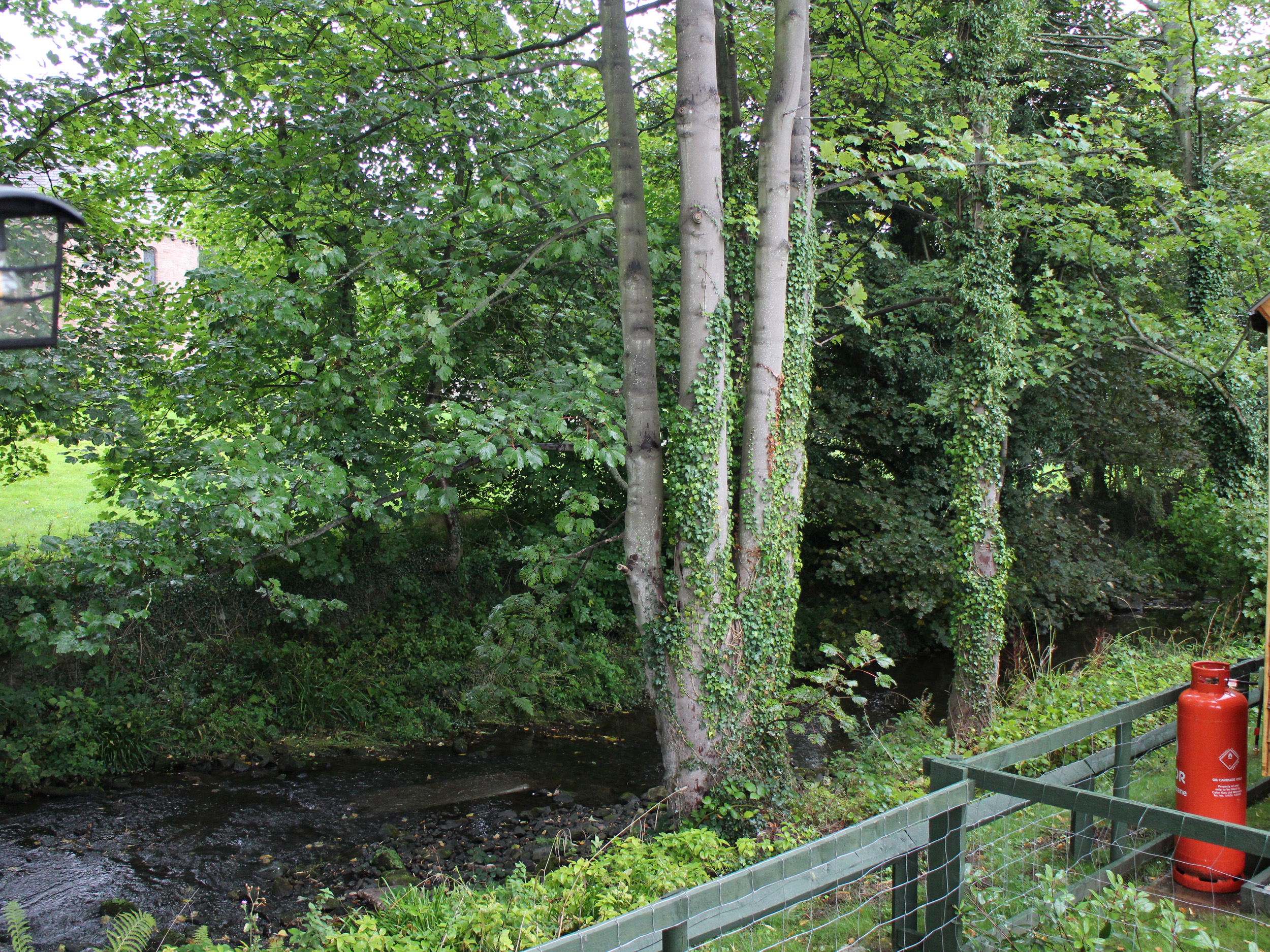 Property image 14 for SC1125236