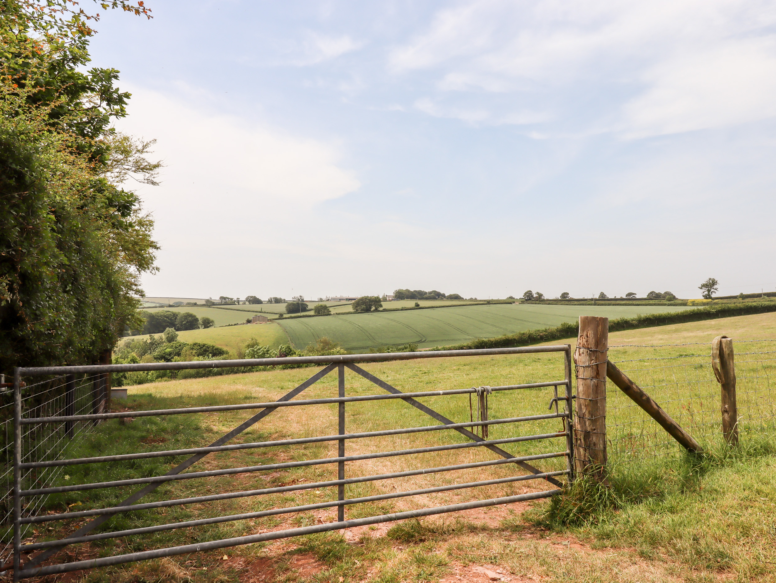 Property image 22 for SC1133419