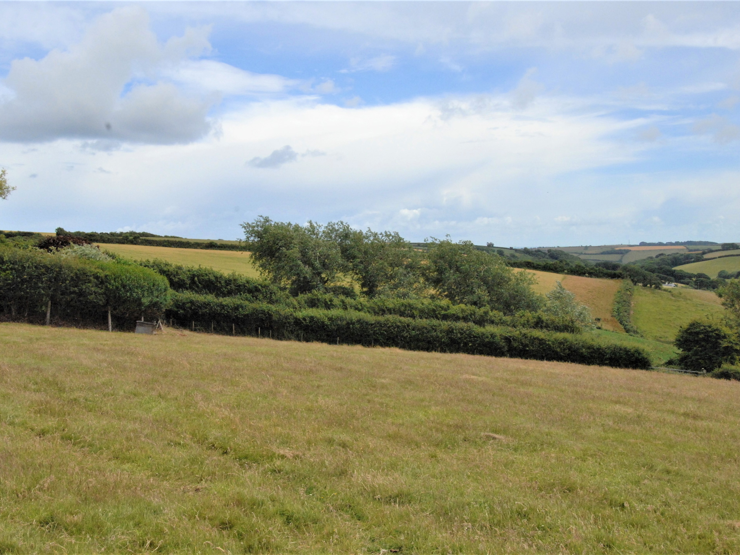 Property image 24 for SC1133419