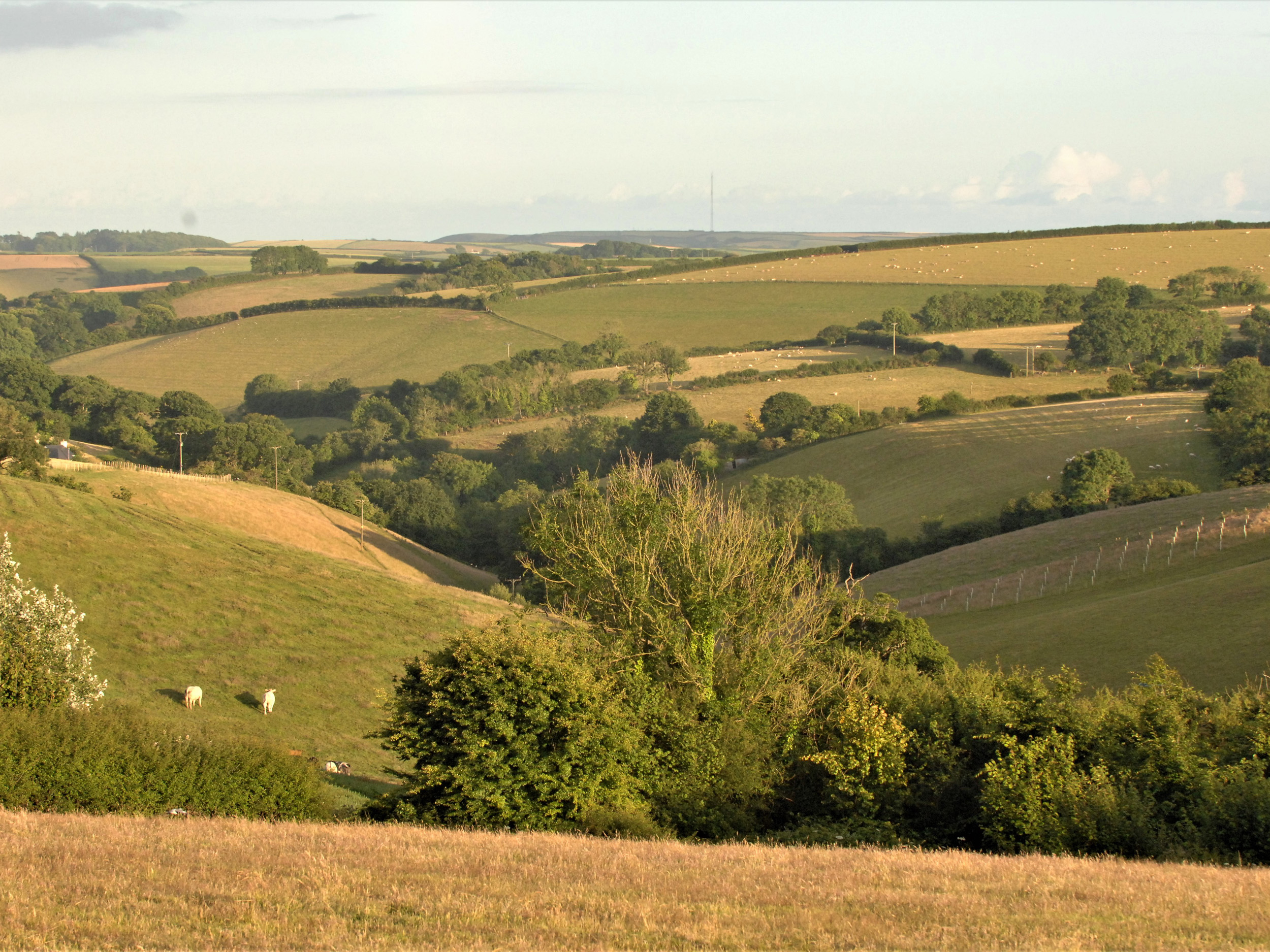 Property image 27 for SC1133419