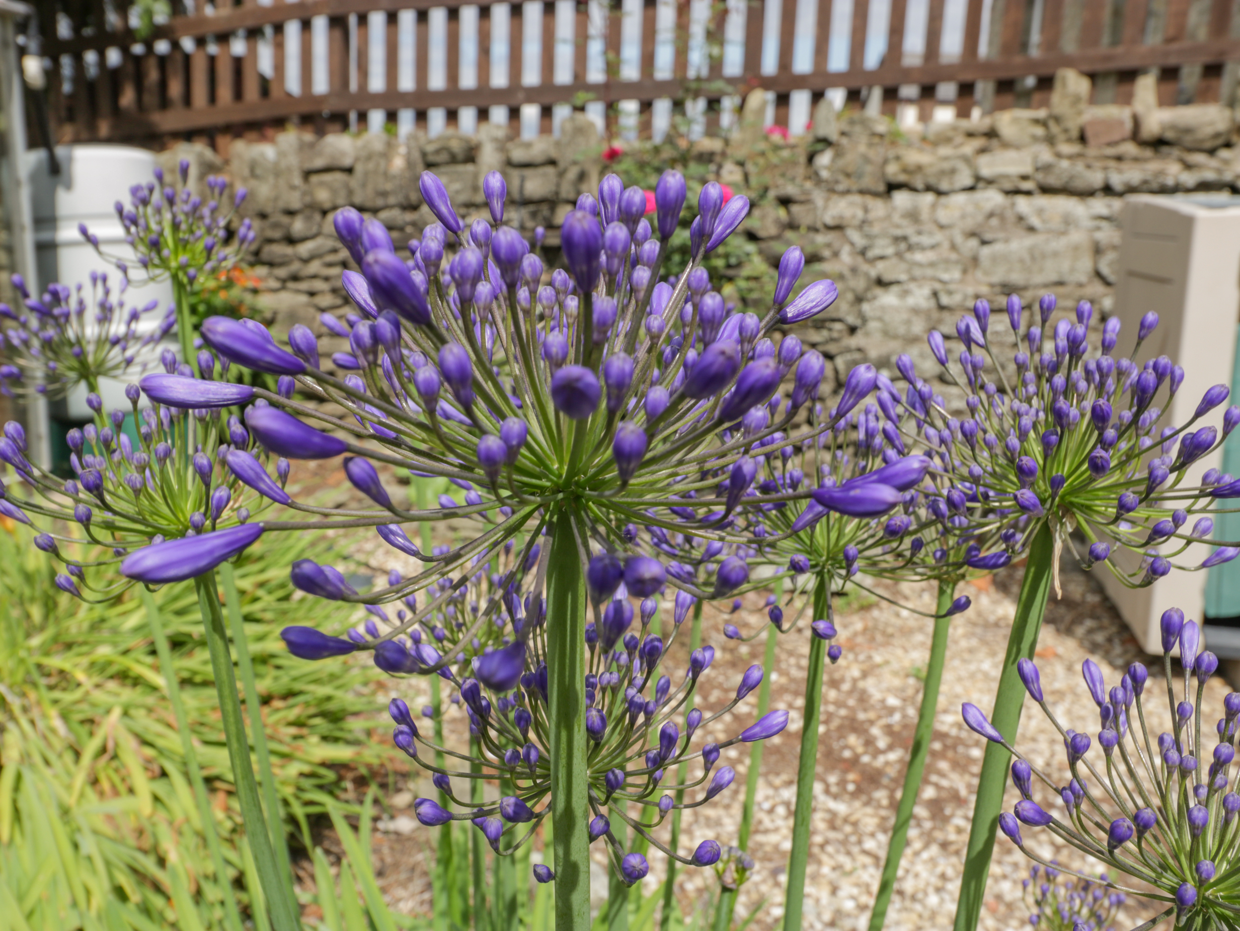 Property image 16 for SC1138926