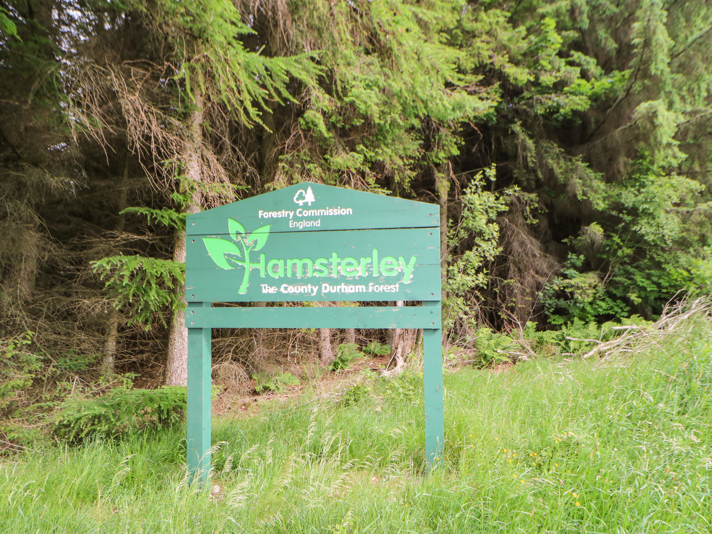 Property image 21 for SC1139851