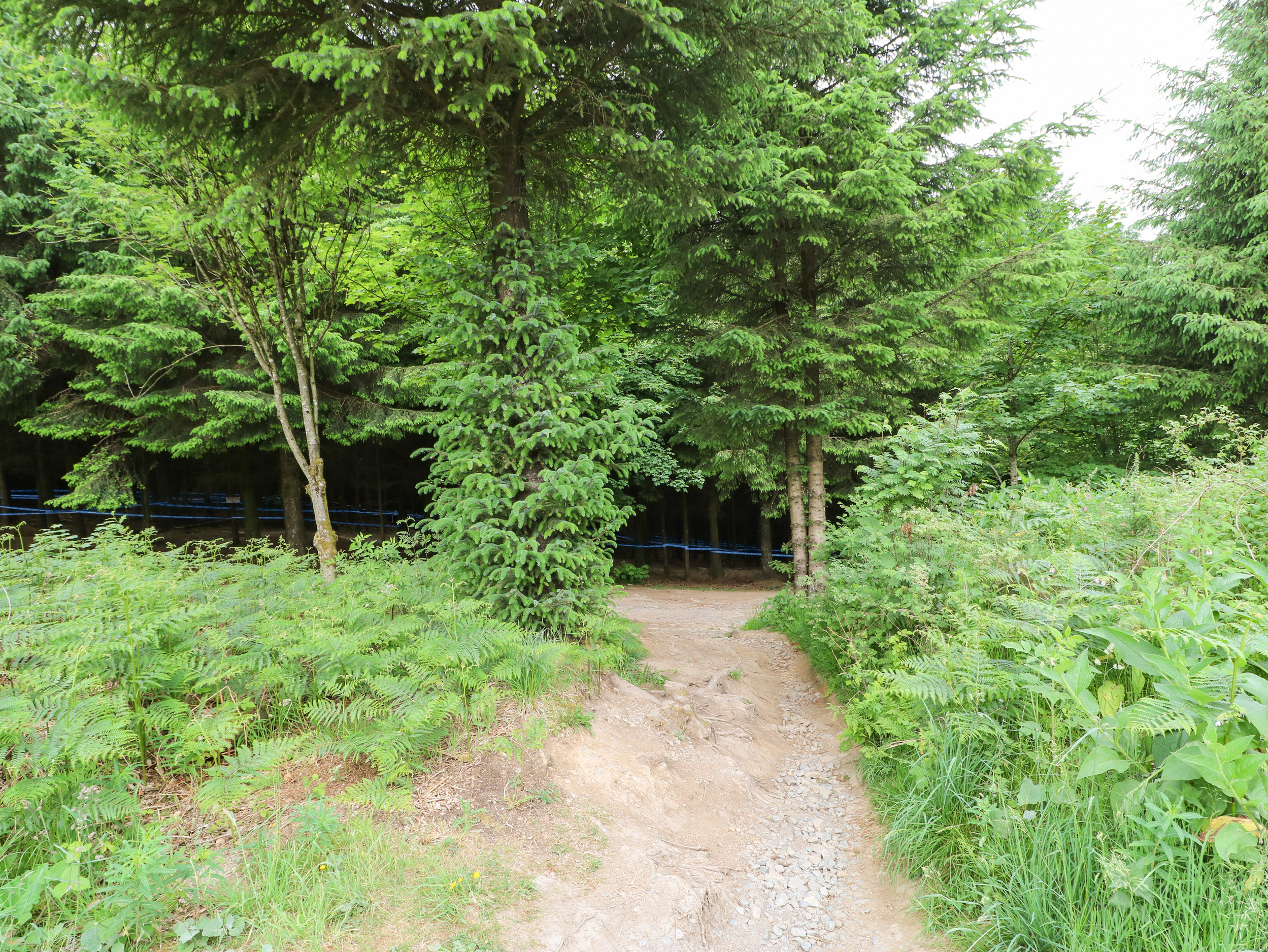 Property image 26 for SC1139851