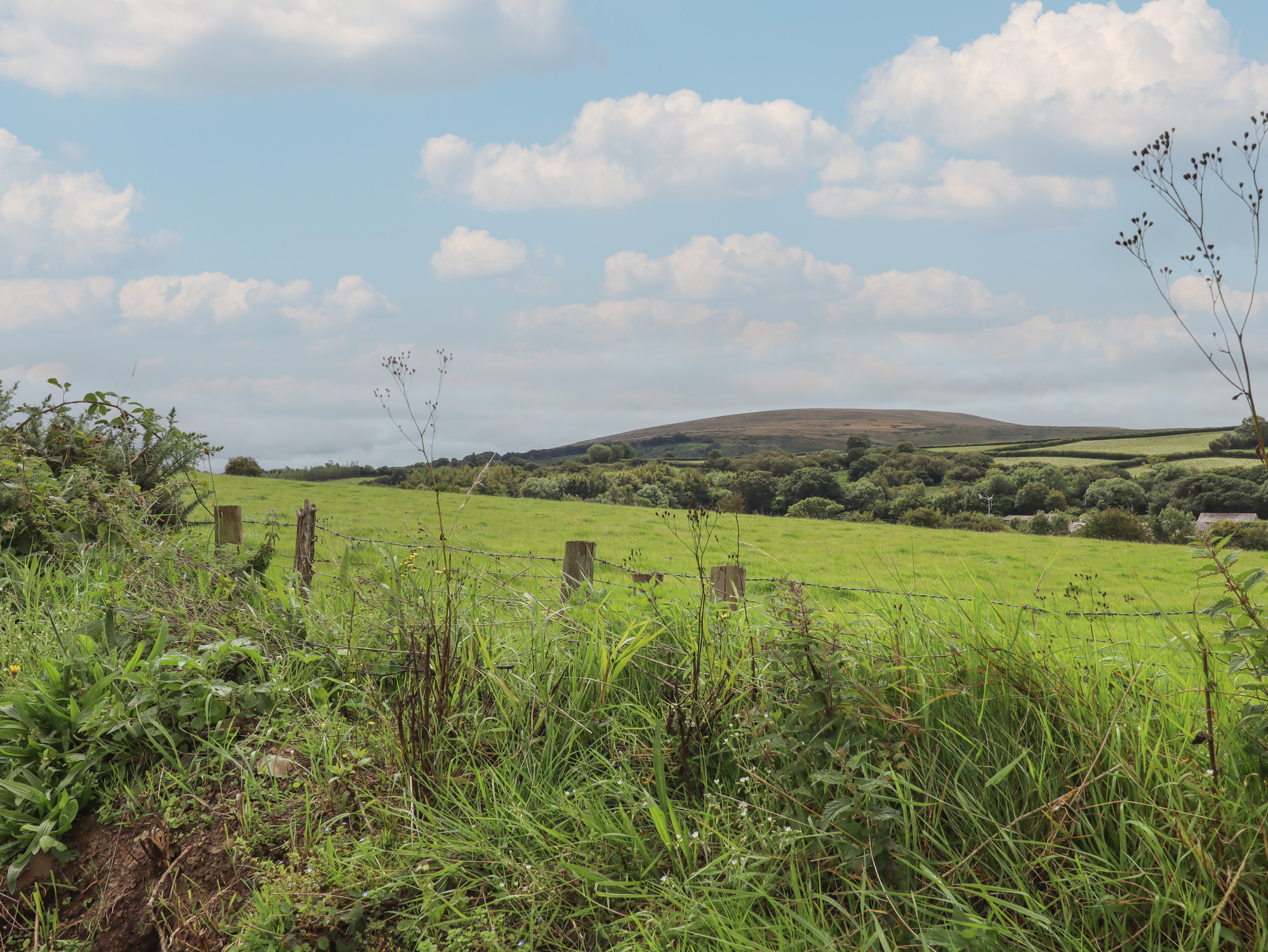 Property image 19 for SC1140106