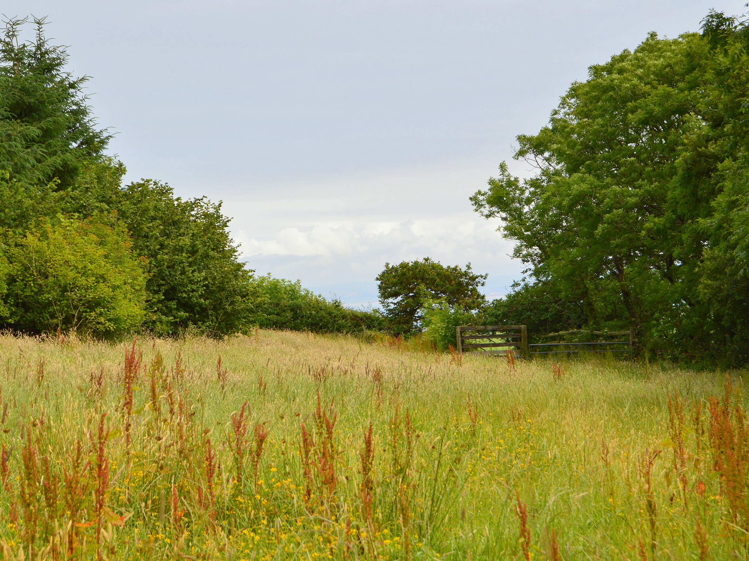 Property image 19 for SC1142168