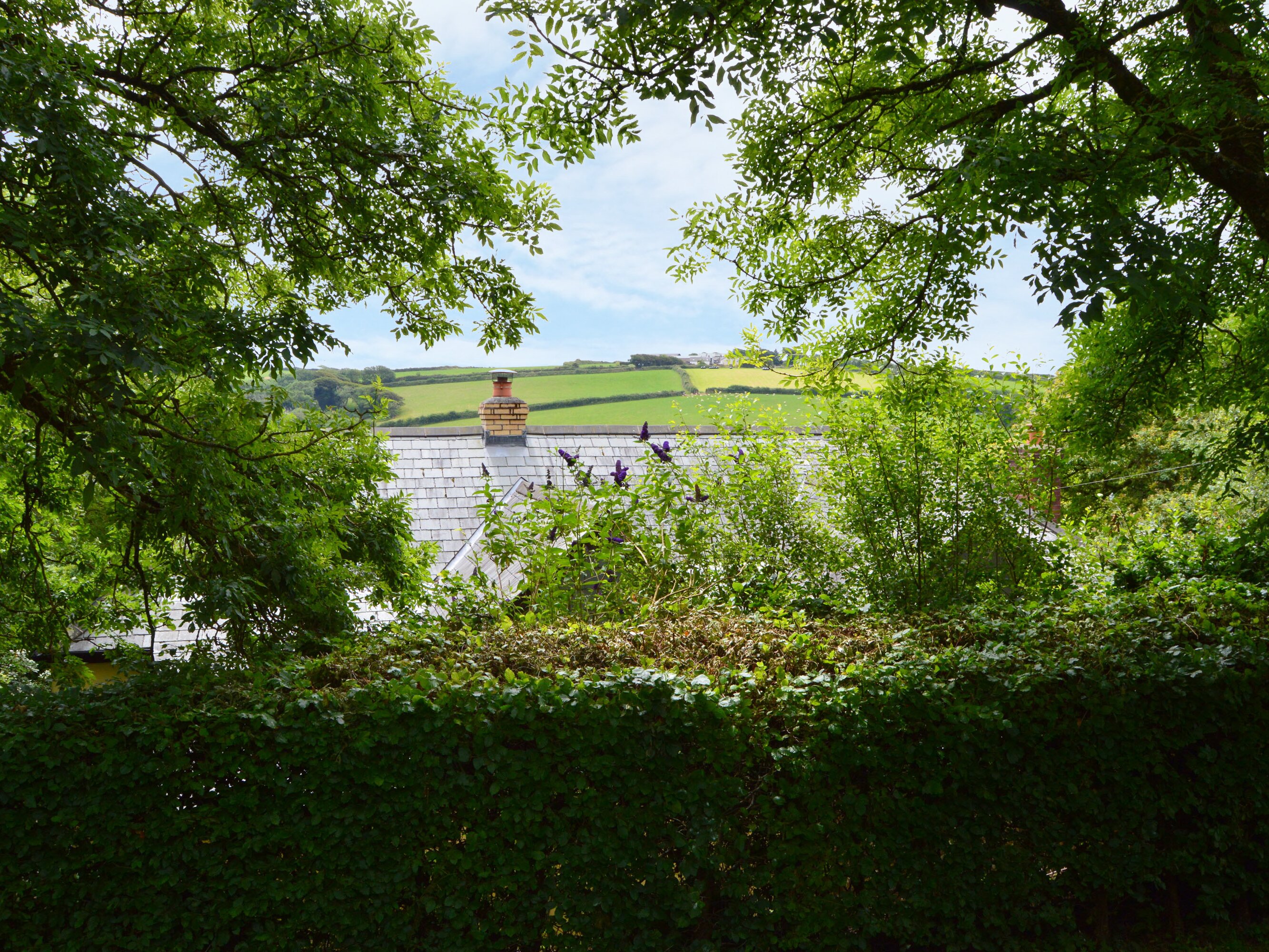 Property image 21 for SC1142168