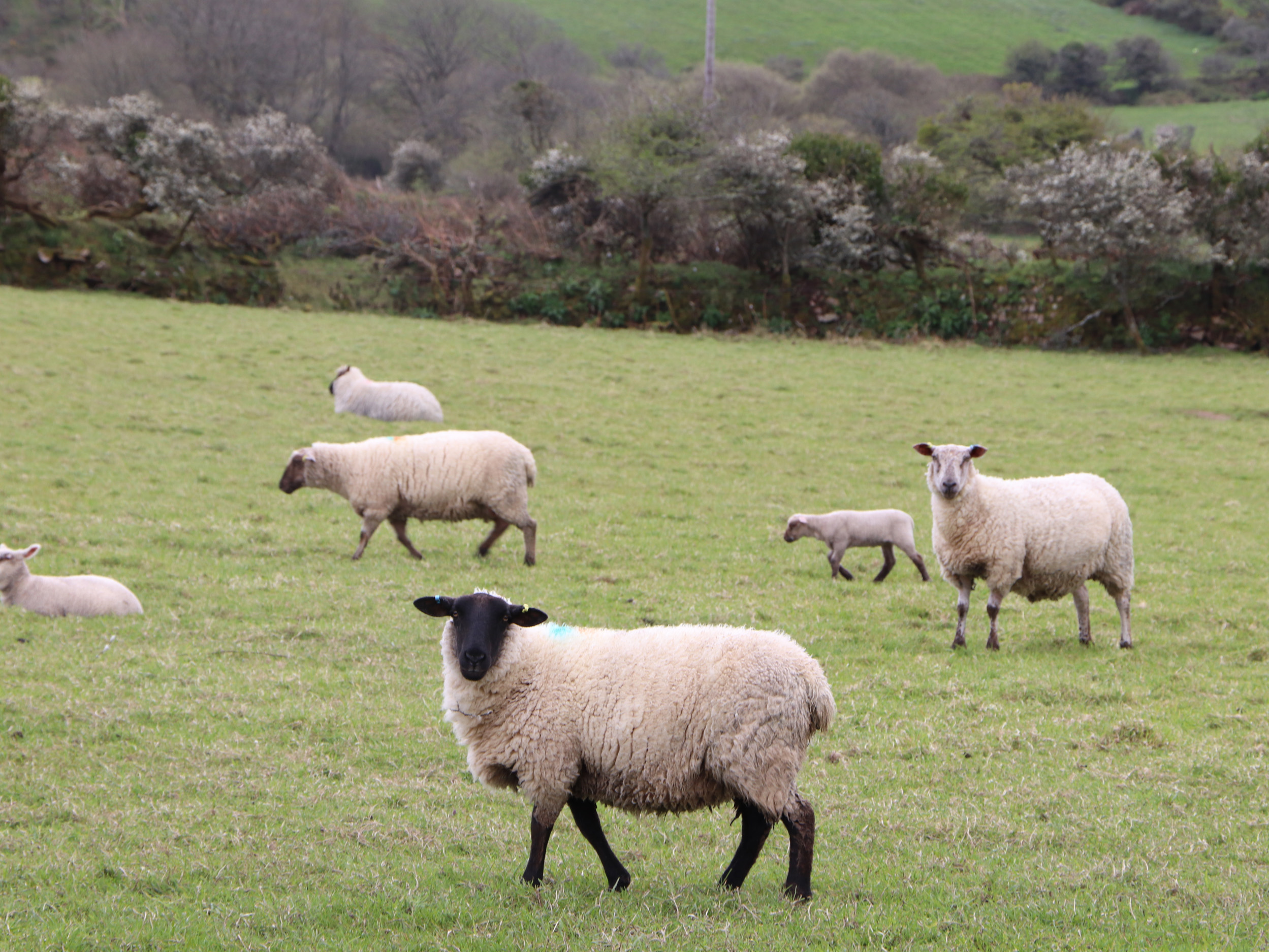 Property image 27 for SC1143420