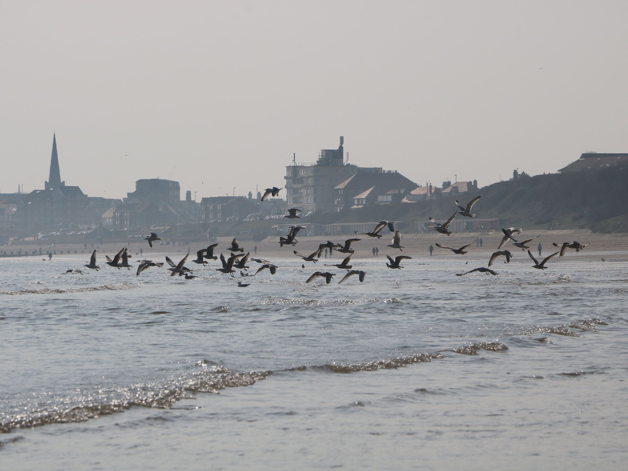 Property image 19 for SC1144476