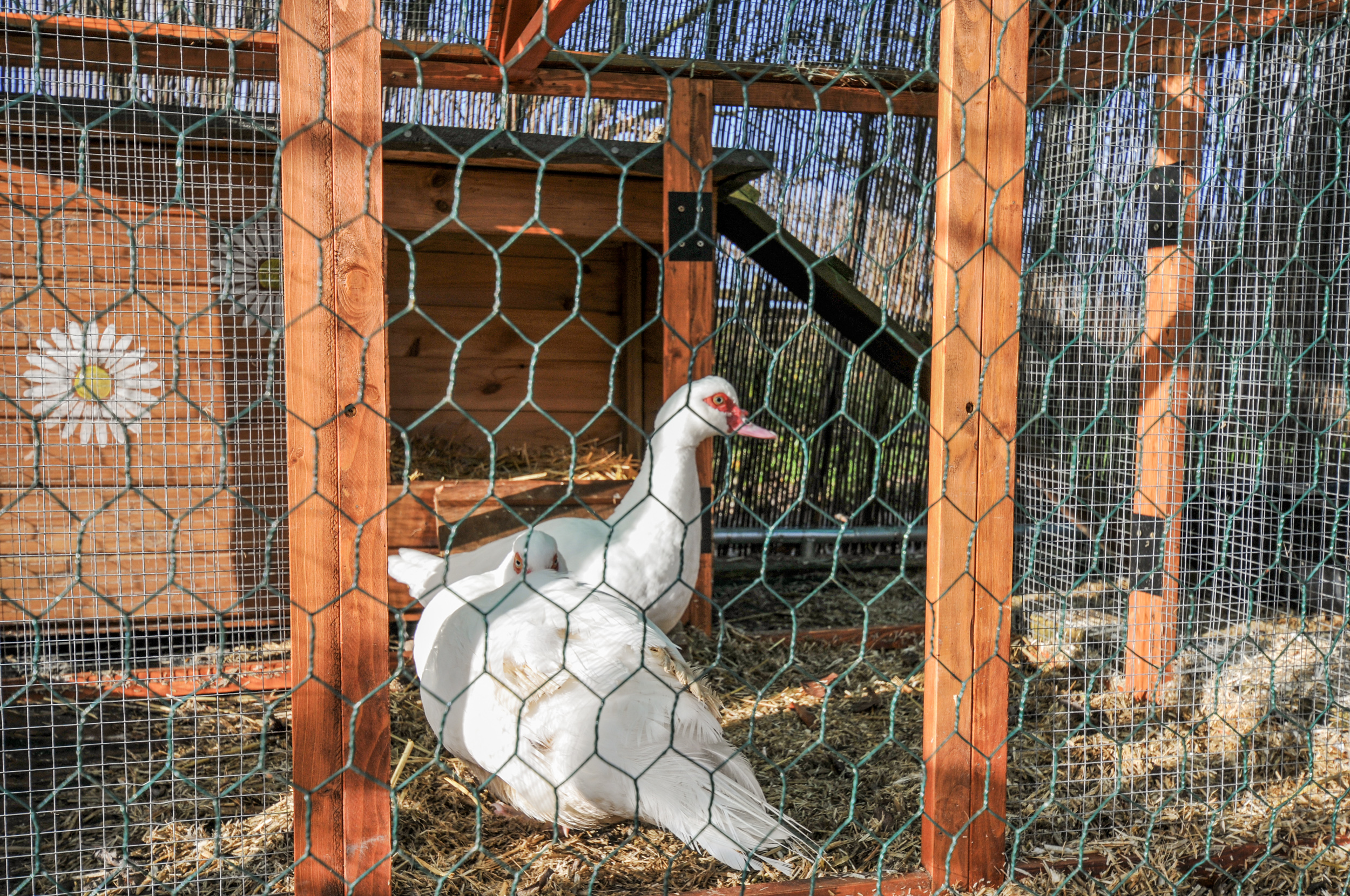 Property image 22 for SC1144810