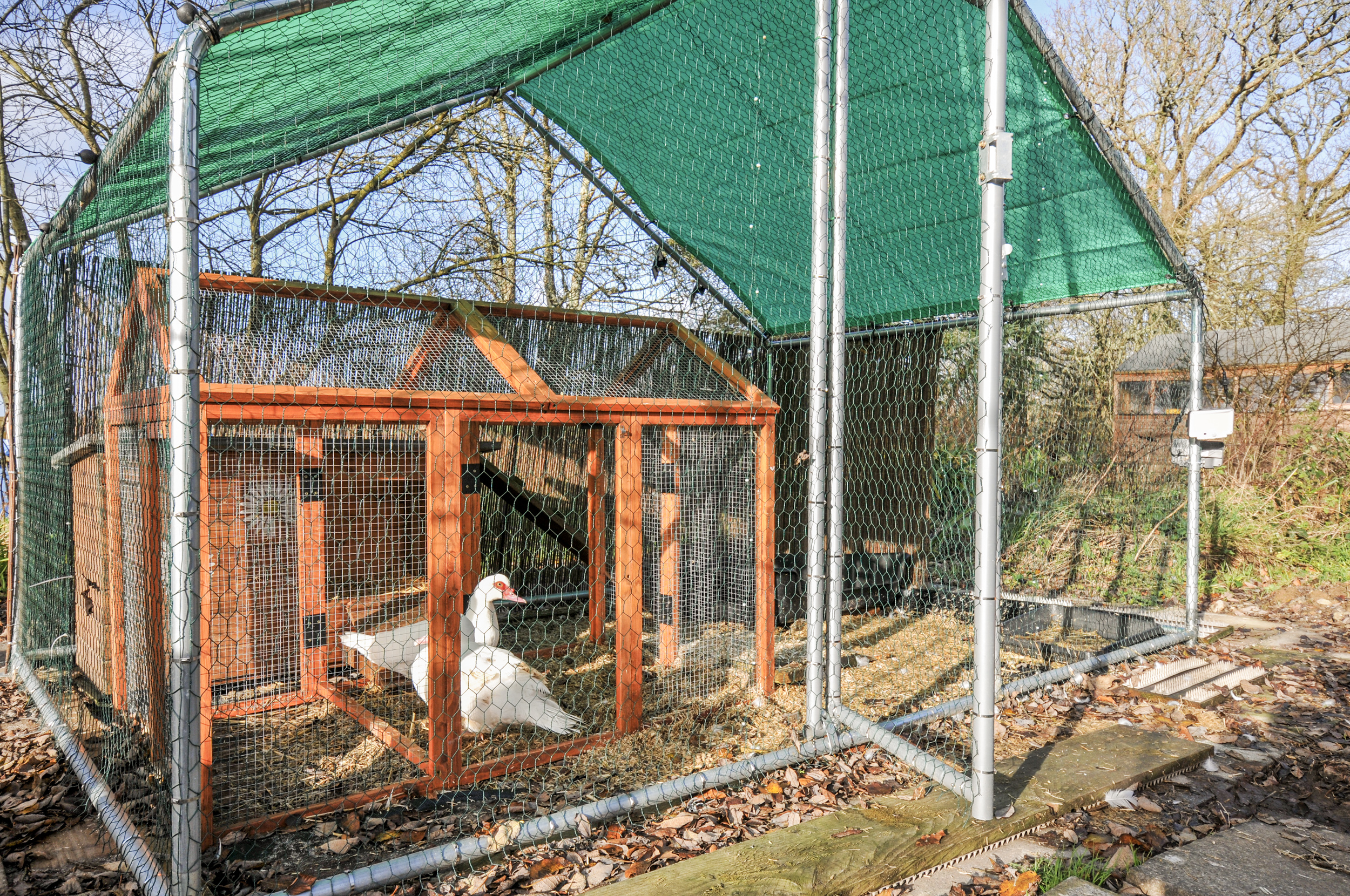 Property image 23 for SC1144810