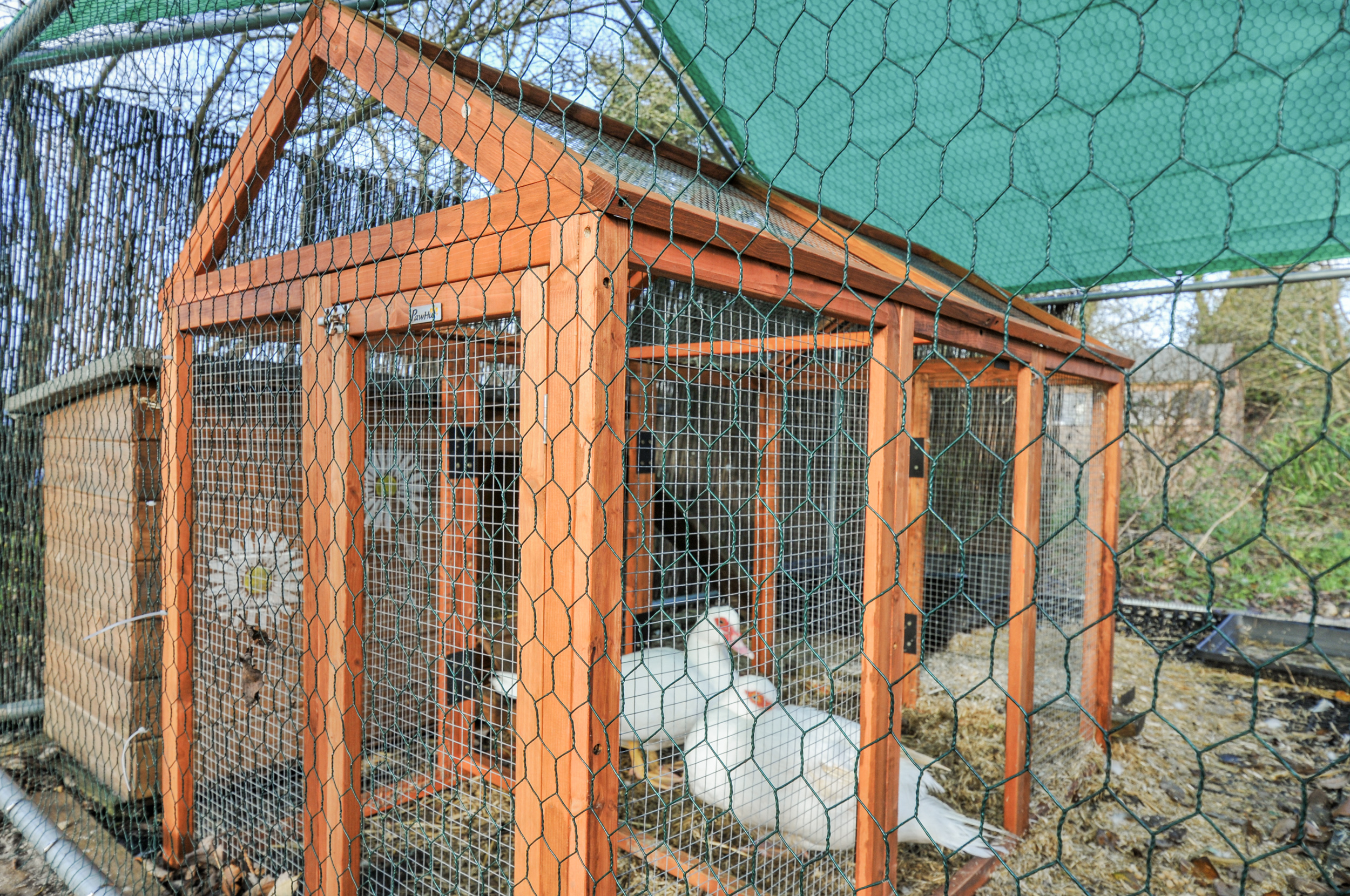 Property image 24 for SC1144810