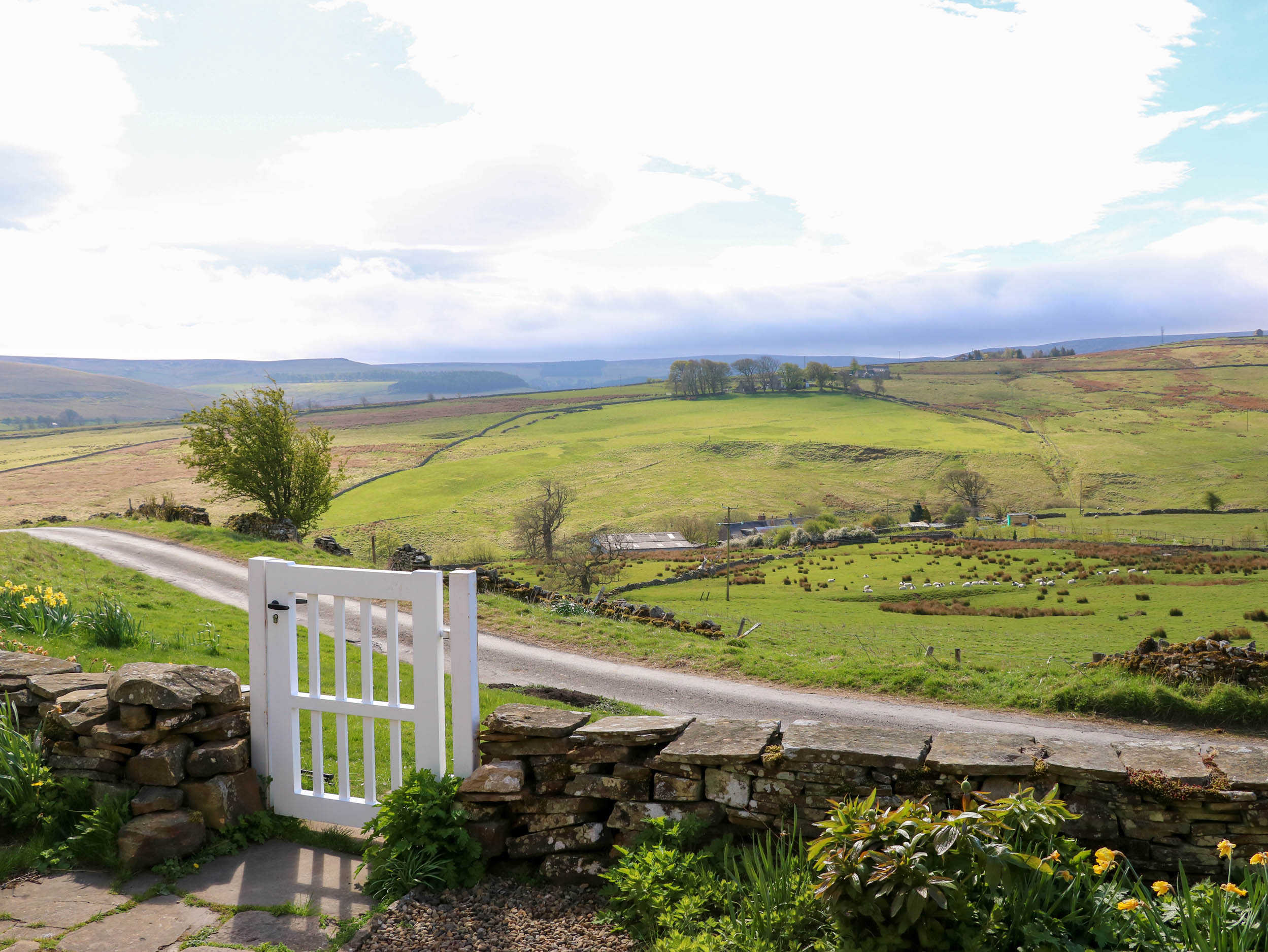 Property image 4 for SC1145053