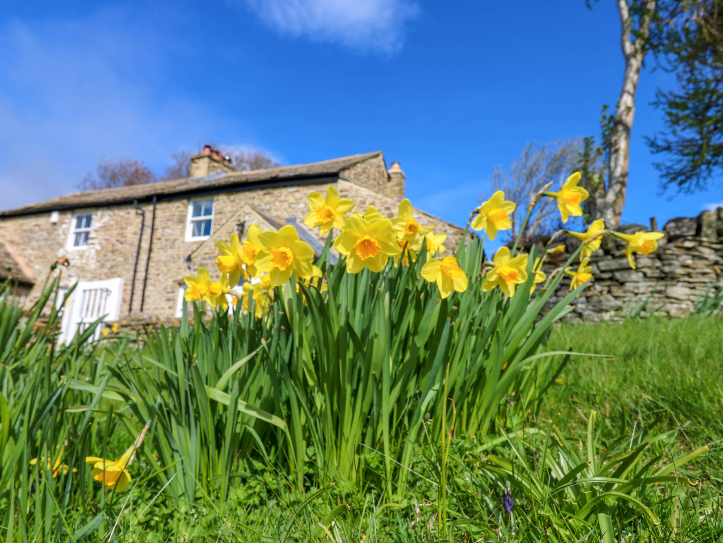 Property image 21 for SC1145053