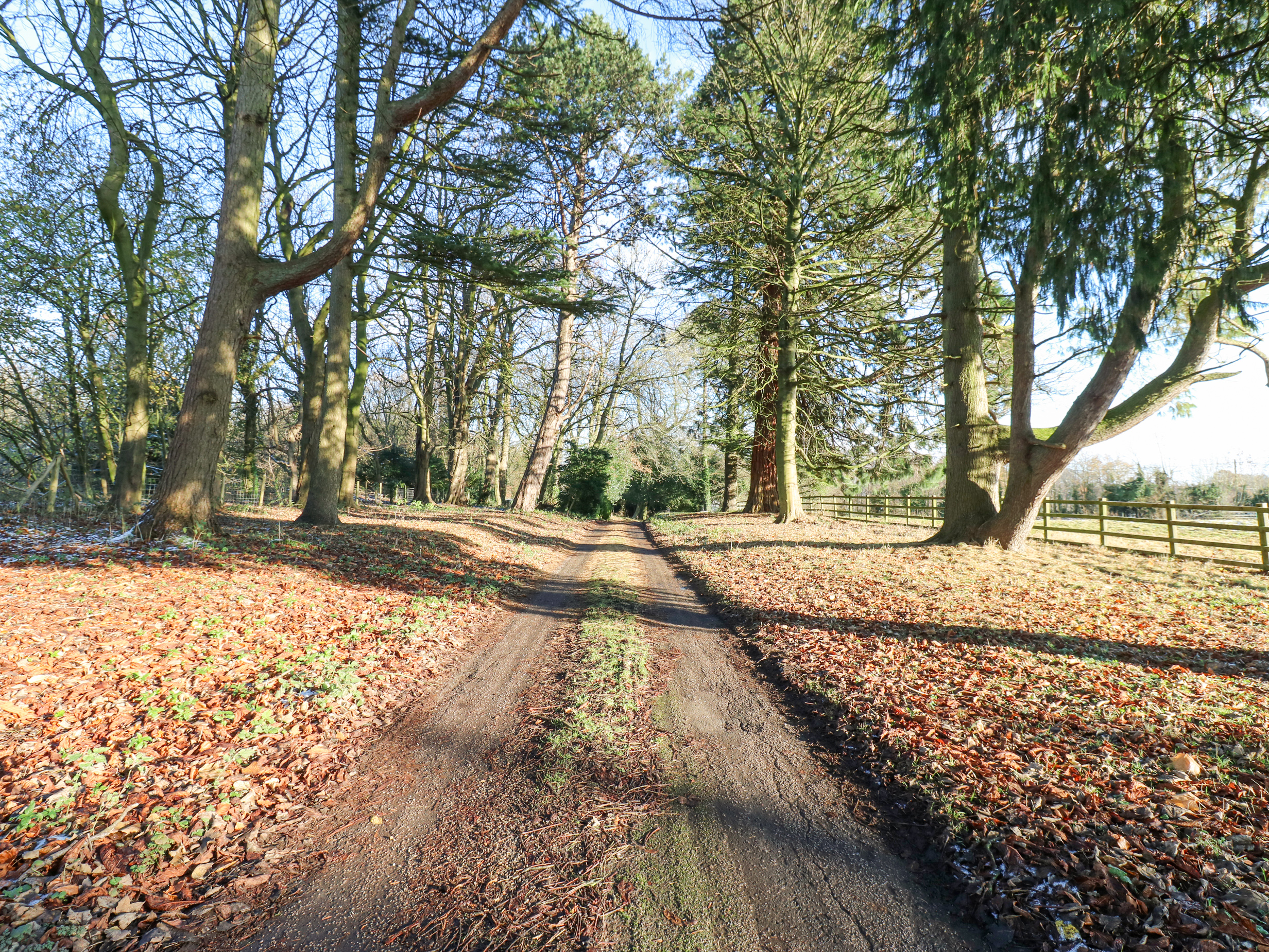 Property image 17 for SC1145393