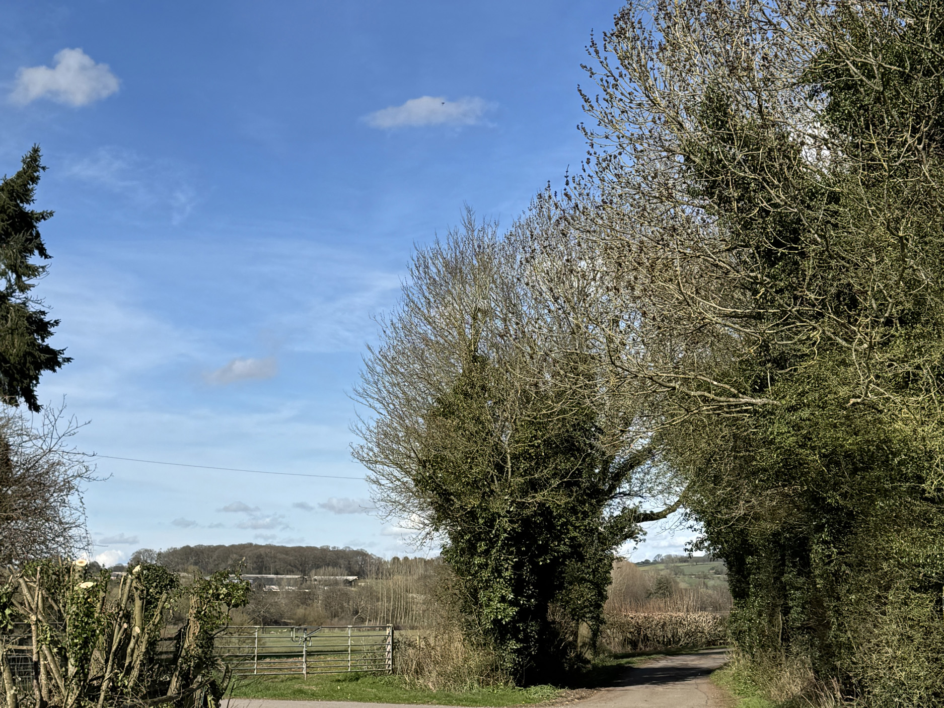 Property image 29 for SC1146000