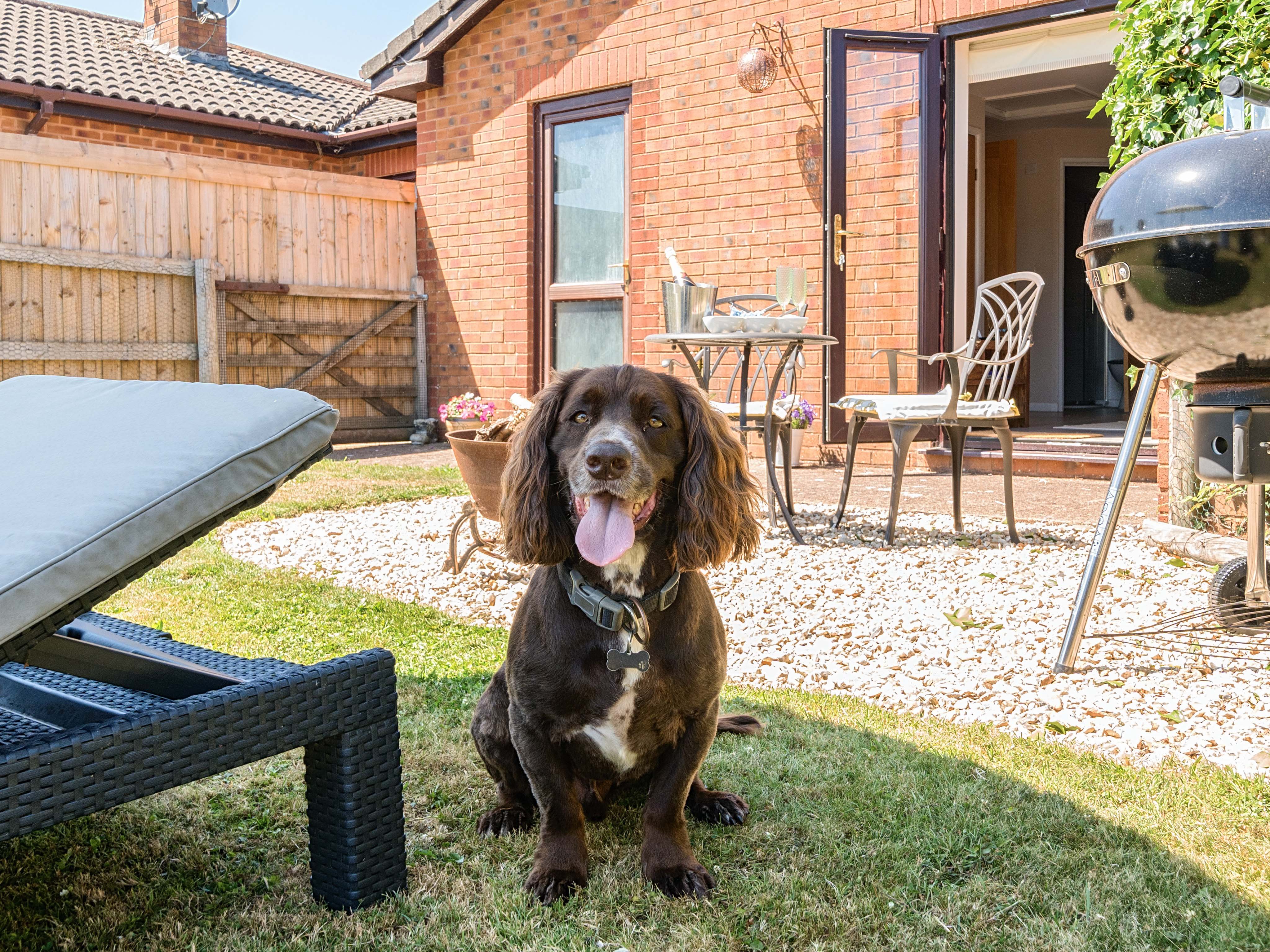 Property image 19 for SC1146349