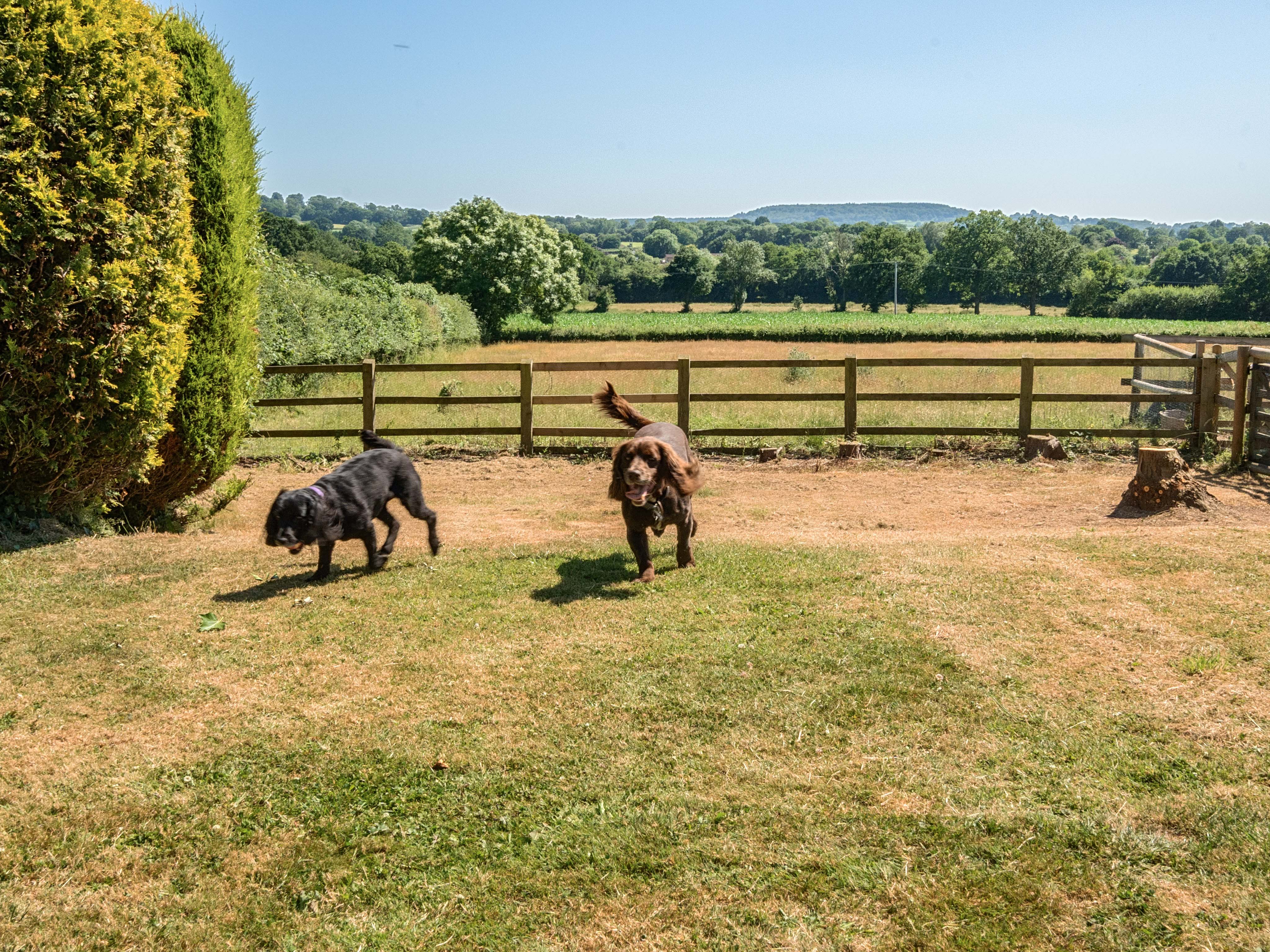 Property image 28 for SC1146349