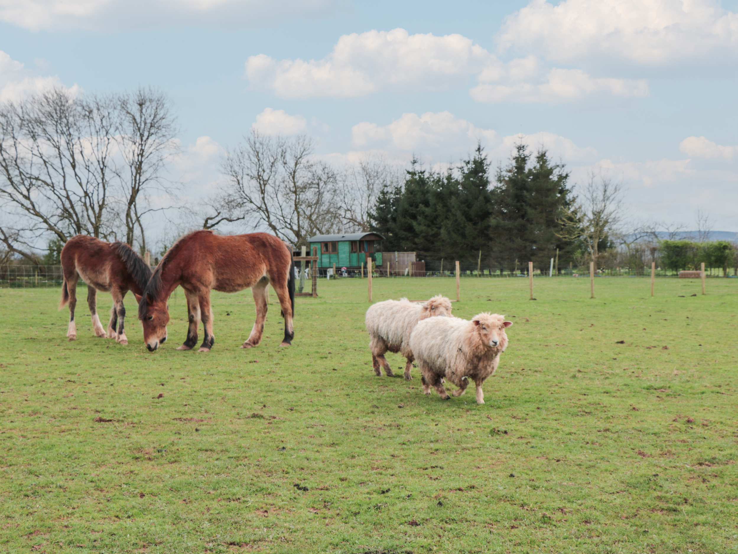 Property image 15 for SC1149622