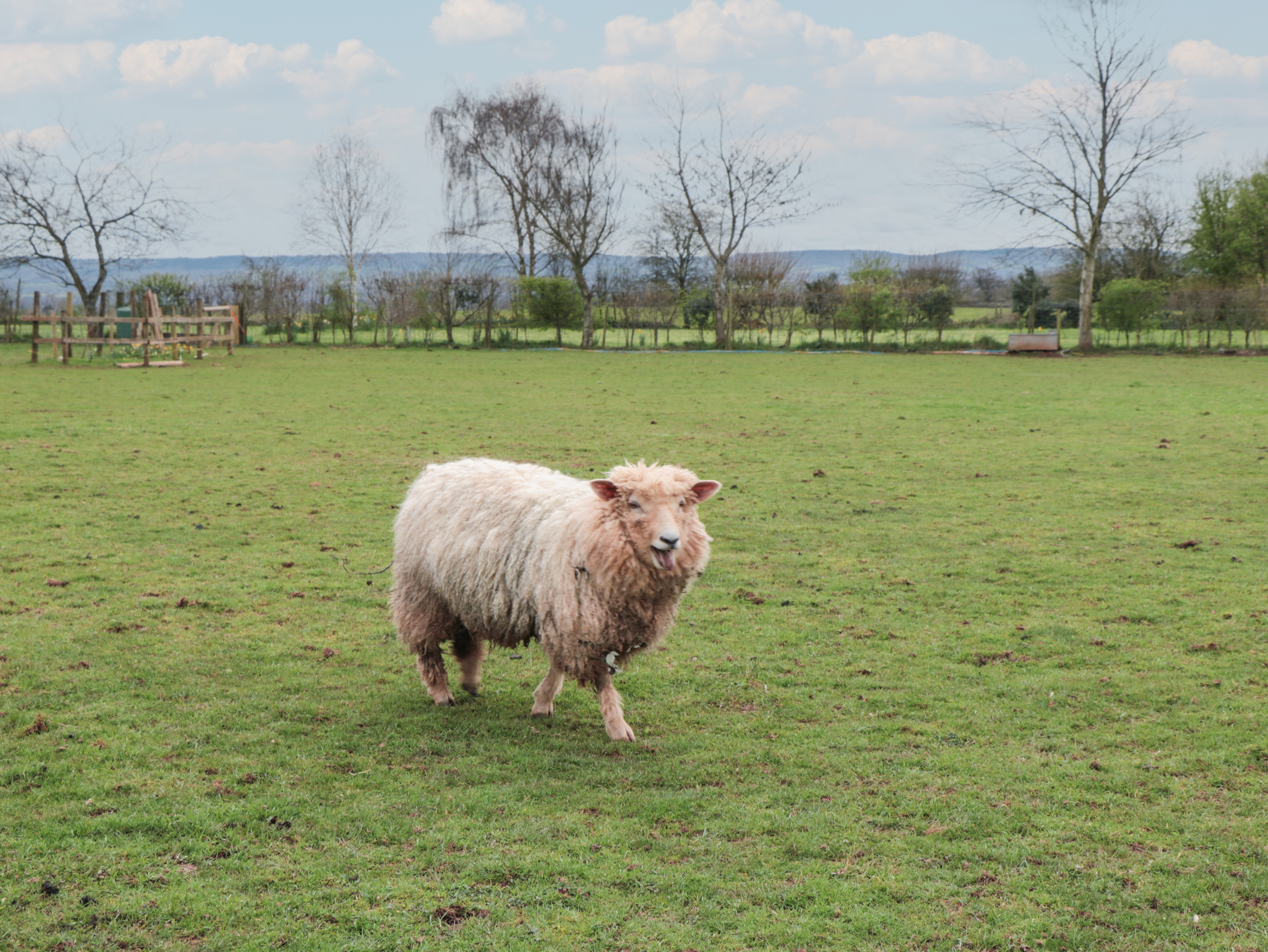 Property image 16 for SC1149622