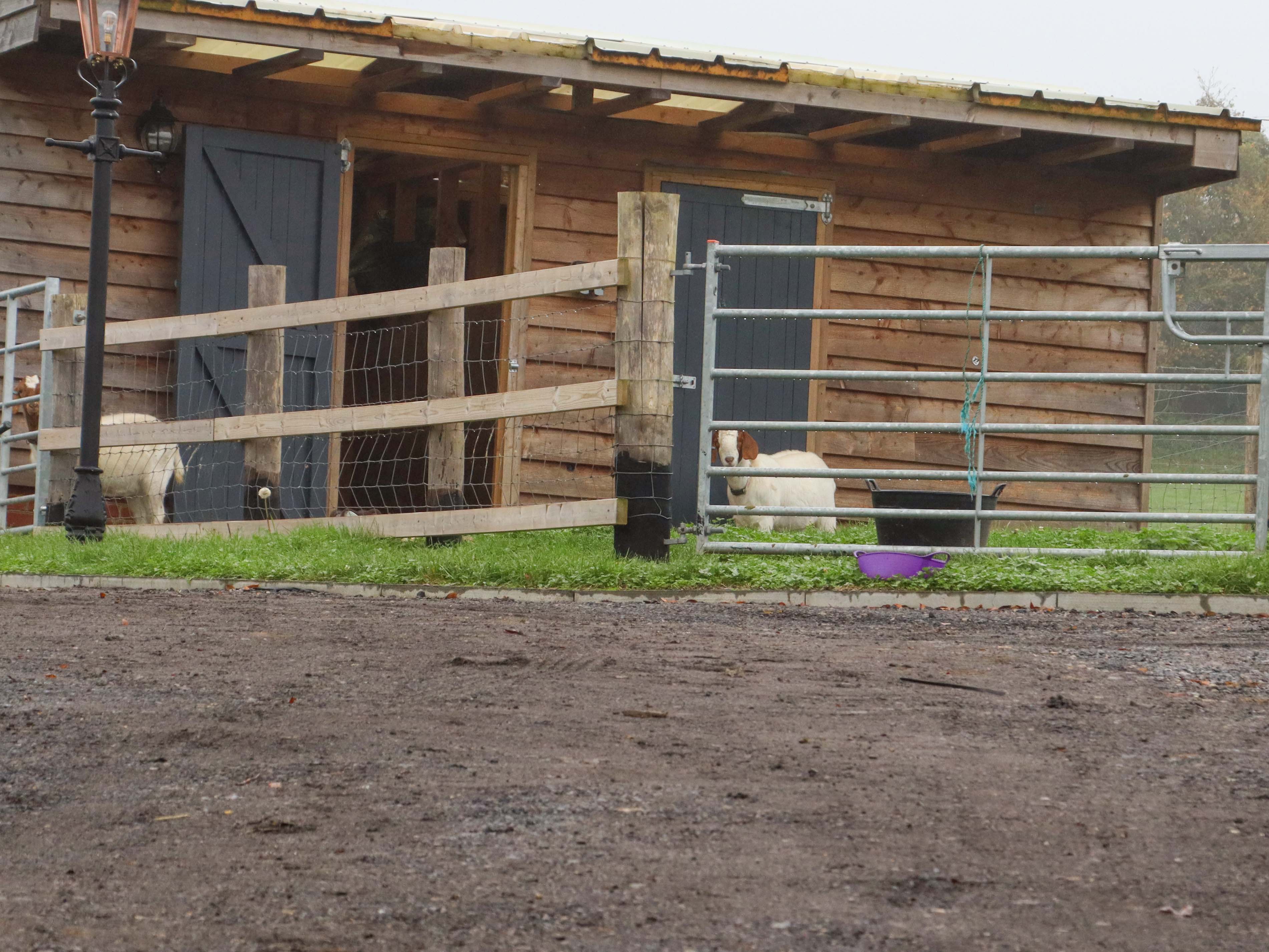 Property image 17 for SC1149774