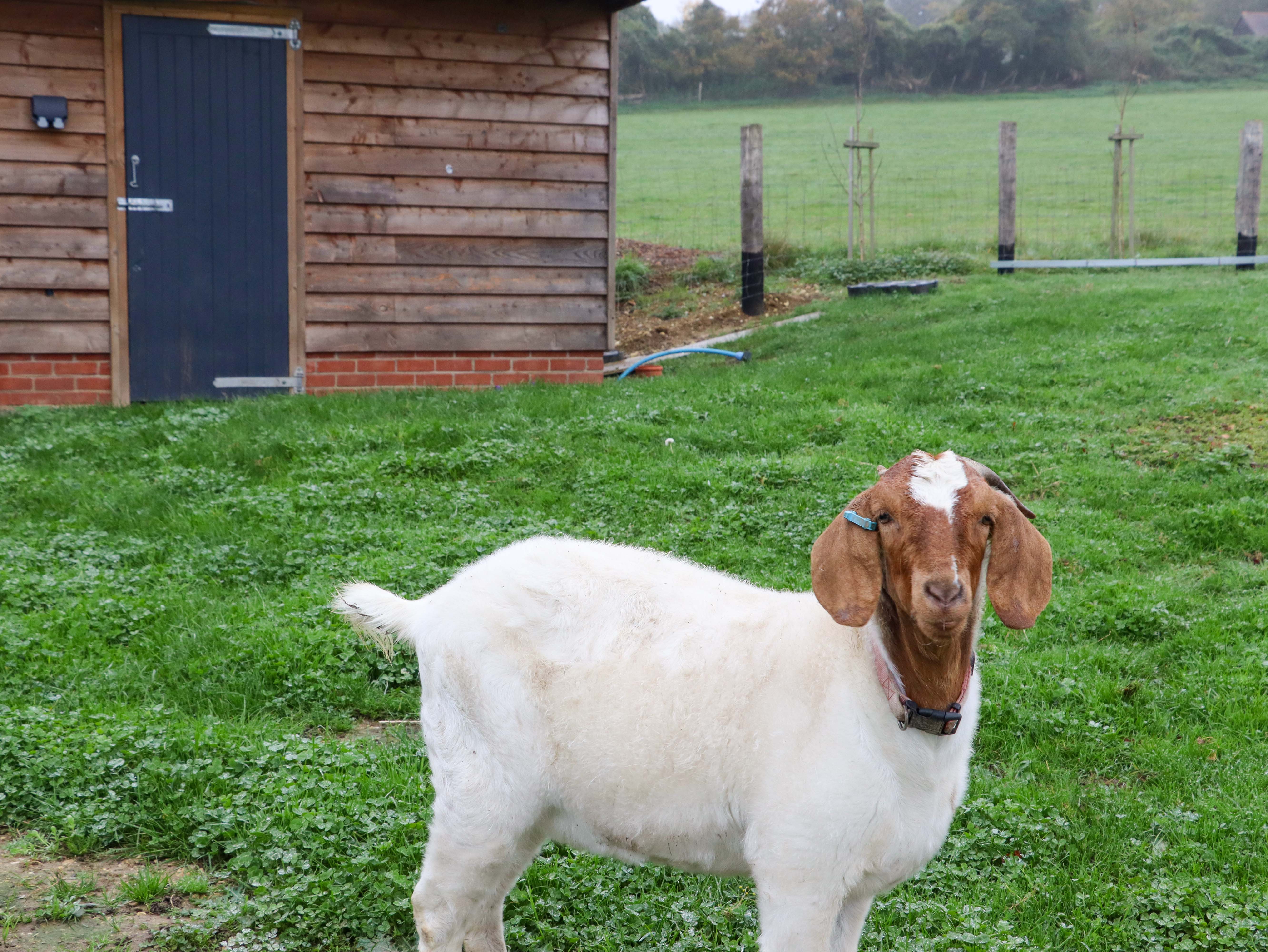 Property image 22 for SC1149774