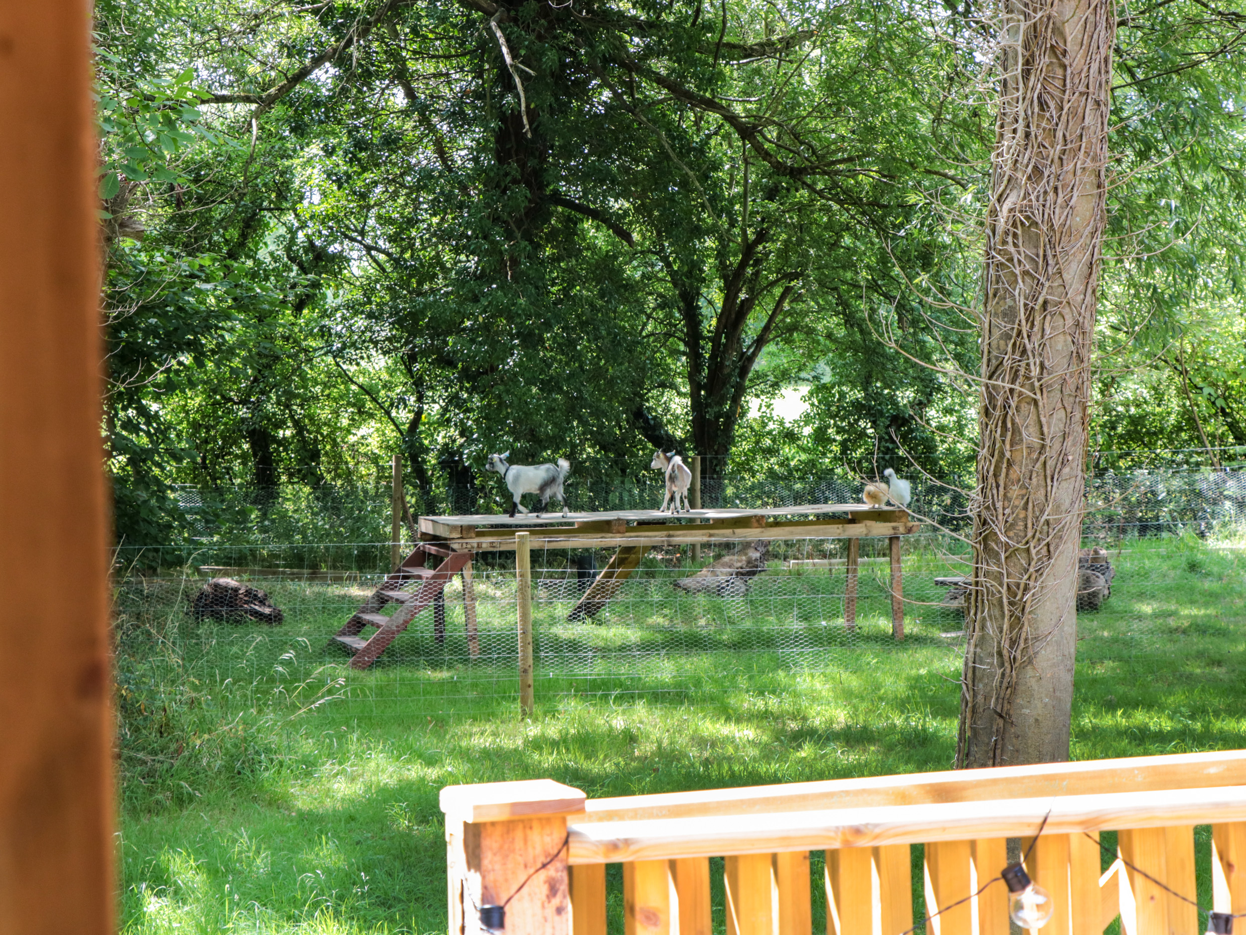 Property image 12 for SC1151420