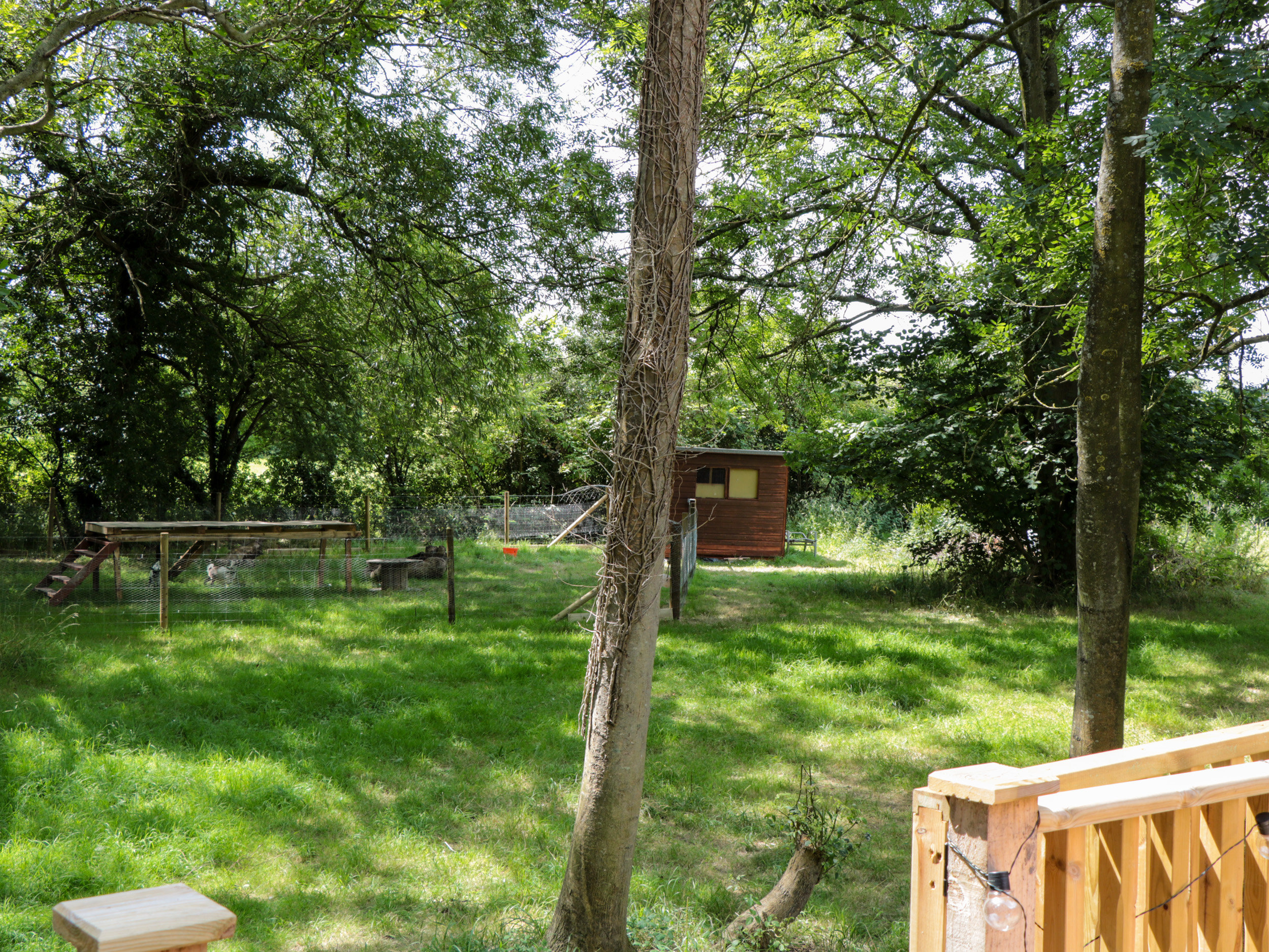 Property image 26 for SC1151420