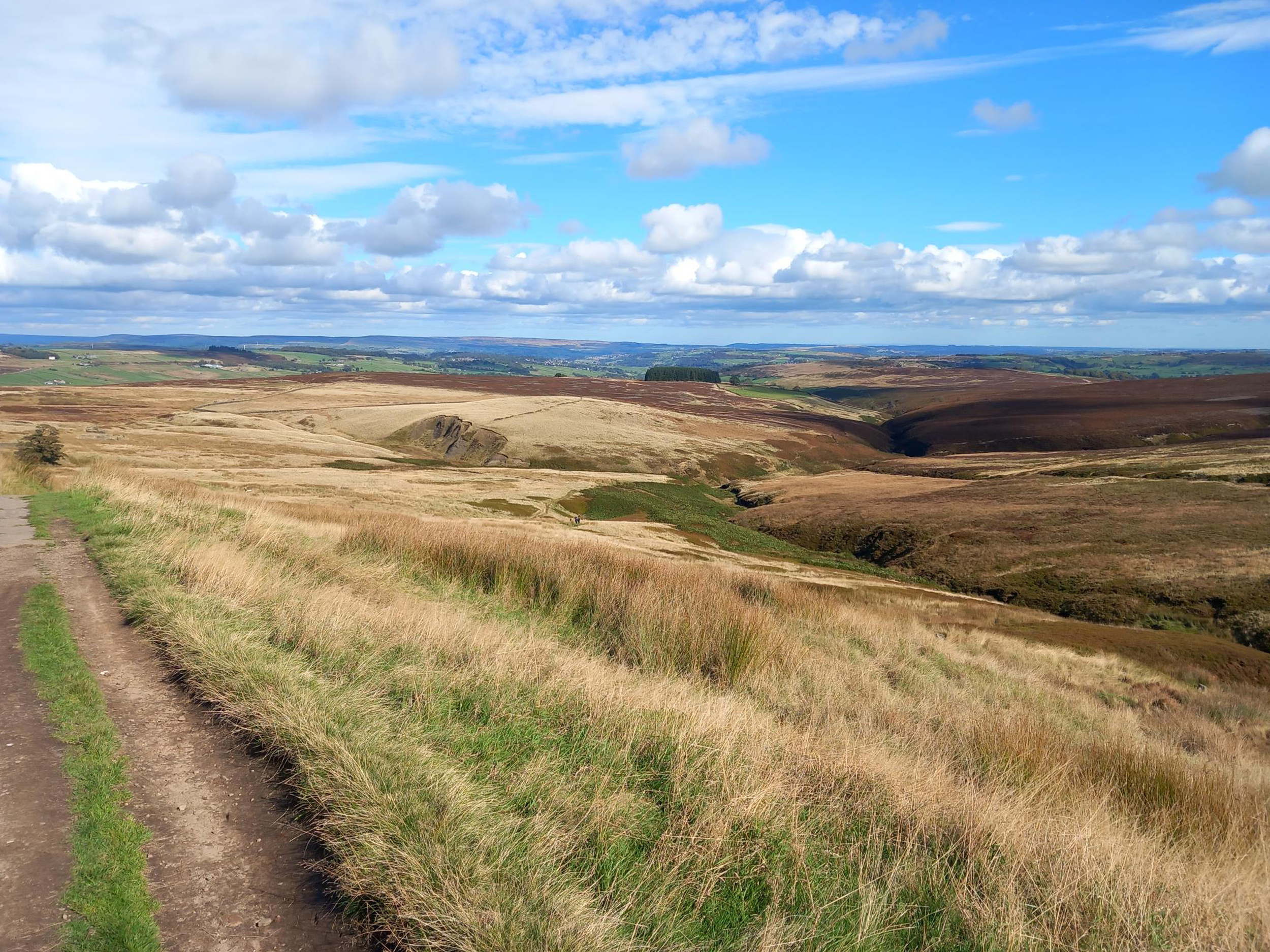 Property image 27 for SC1152543