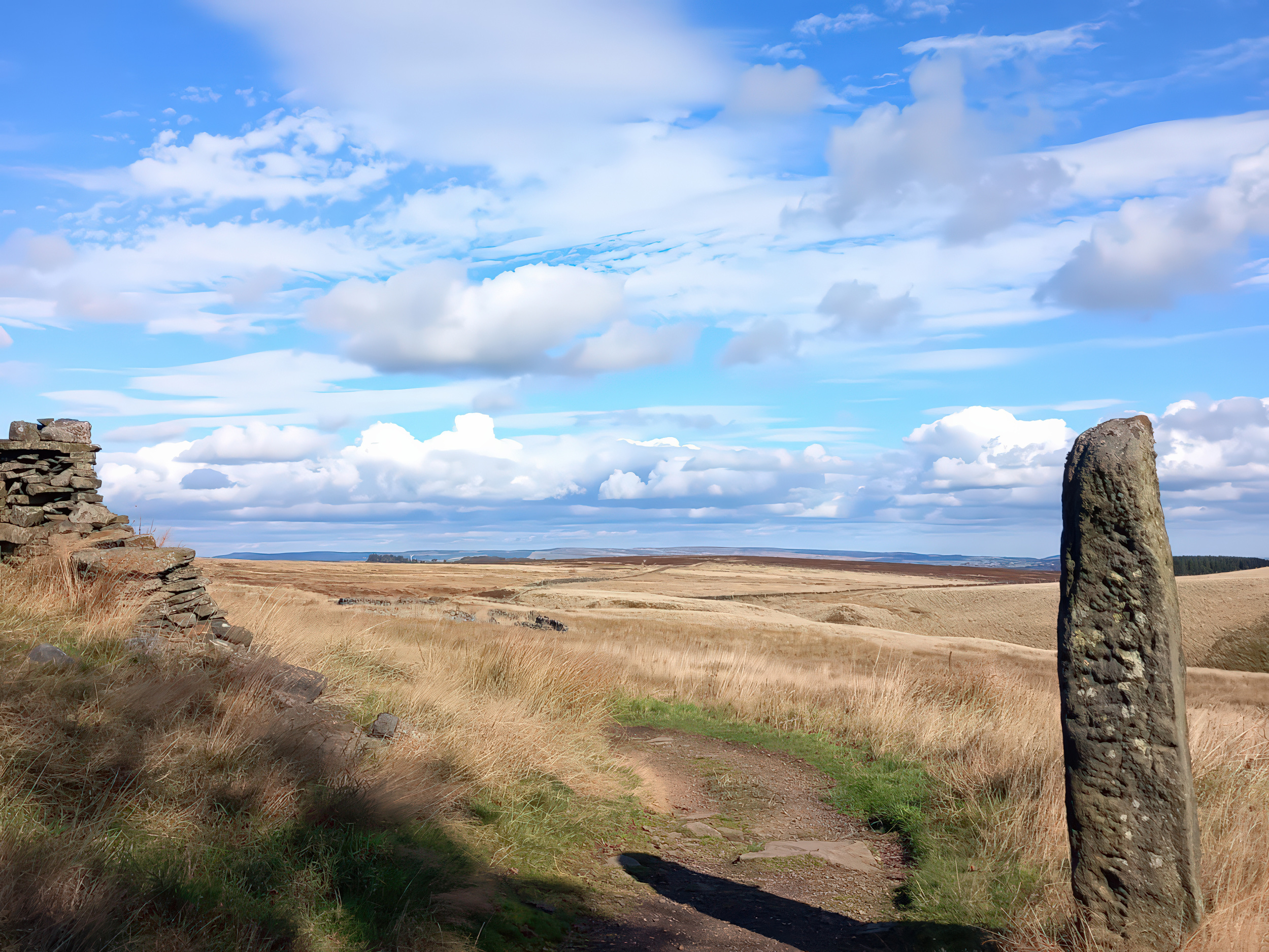 Property image 28 for SC1152543