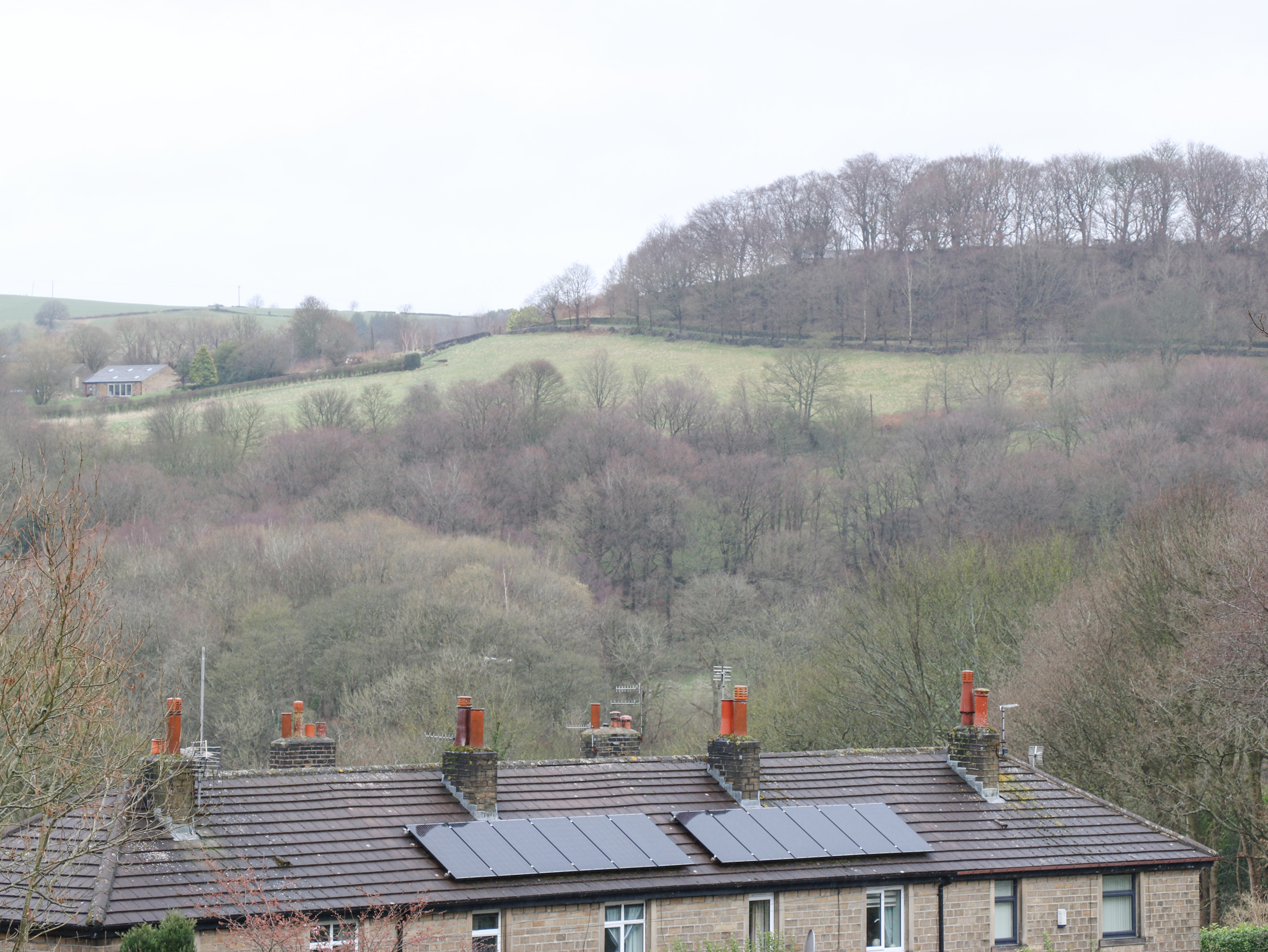 Property image 20 for SC1152650