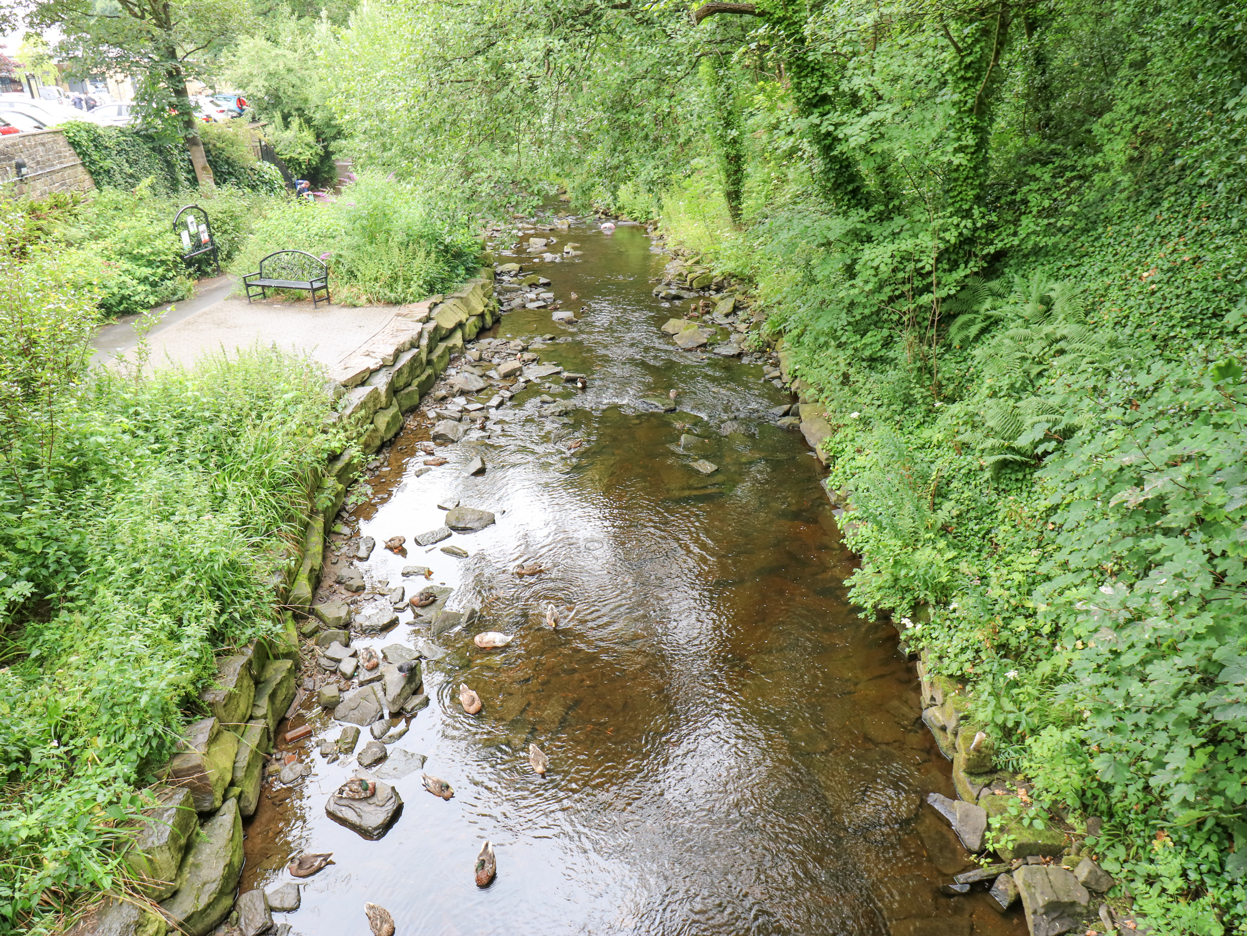 Property image 25 for SC1152650