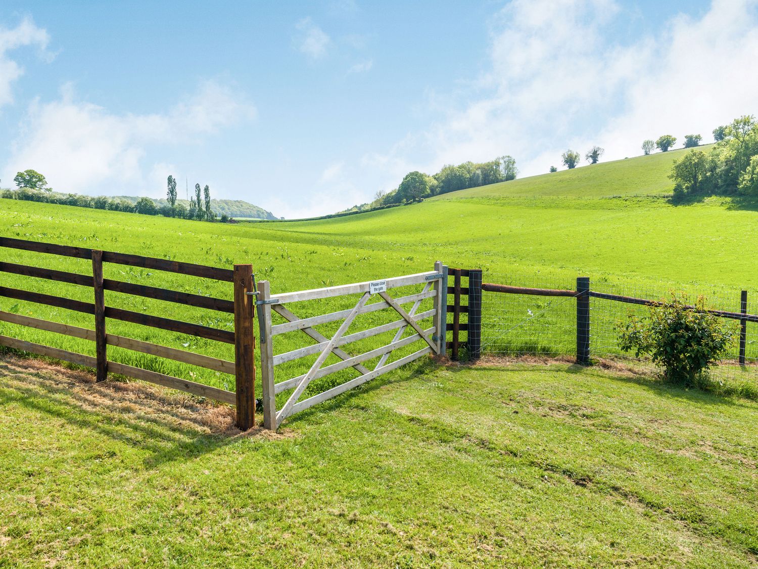 Property image 14 for SC1153931