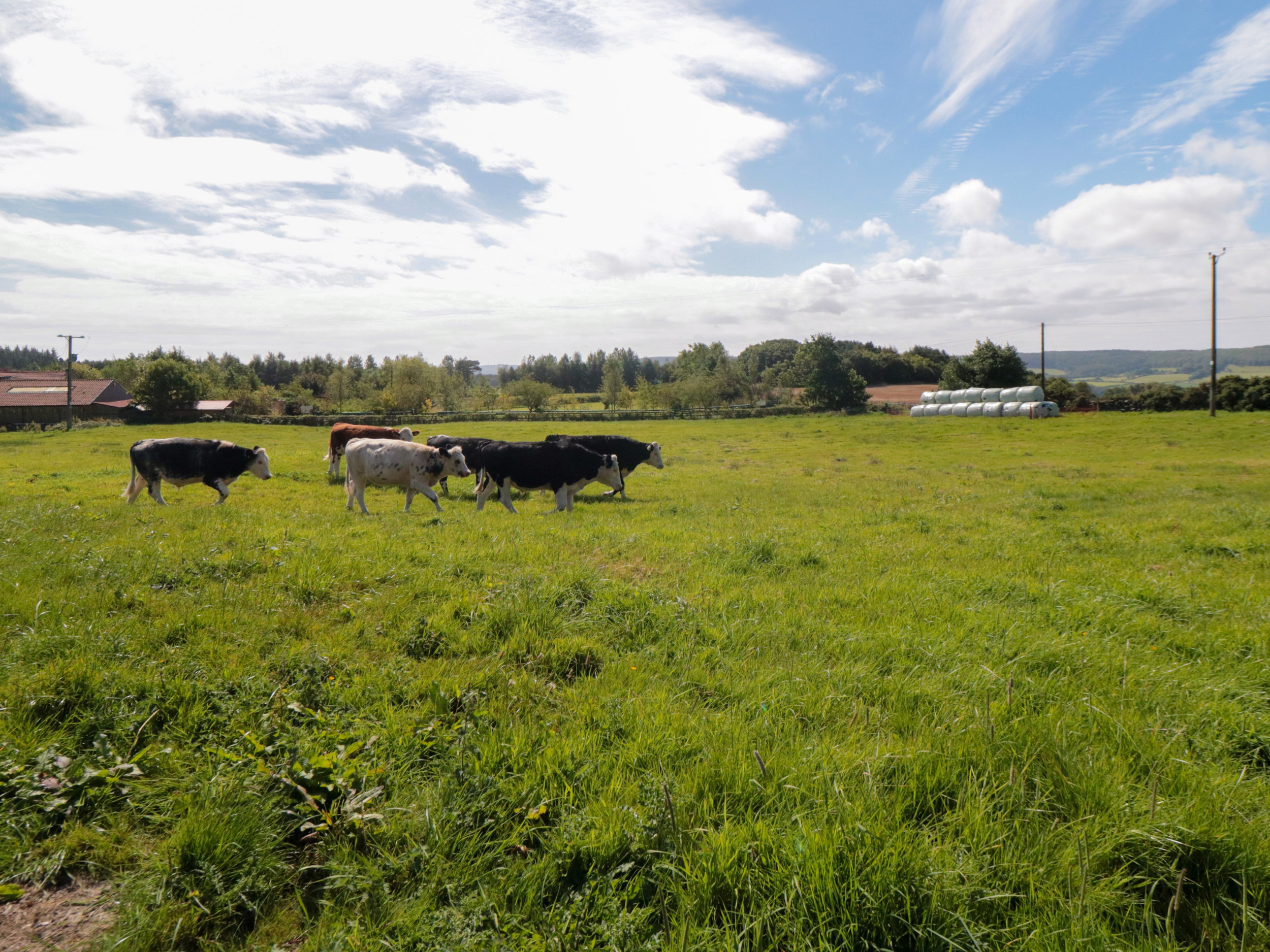 Property image 22 for SC1156935