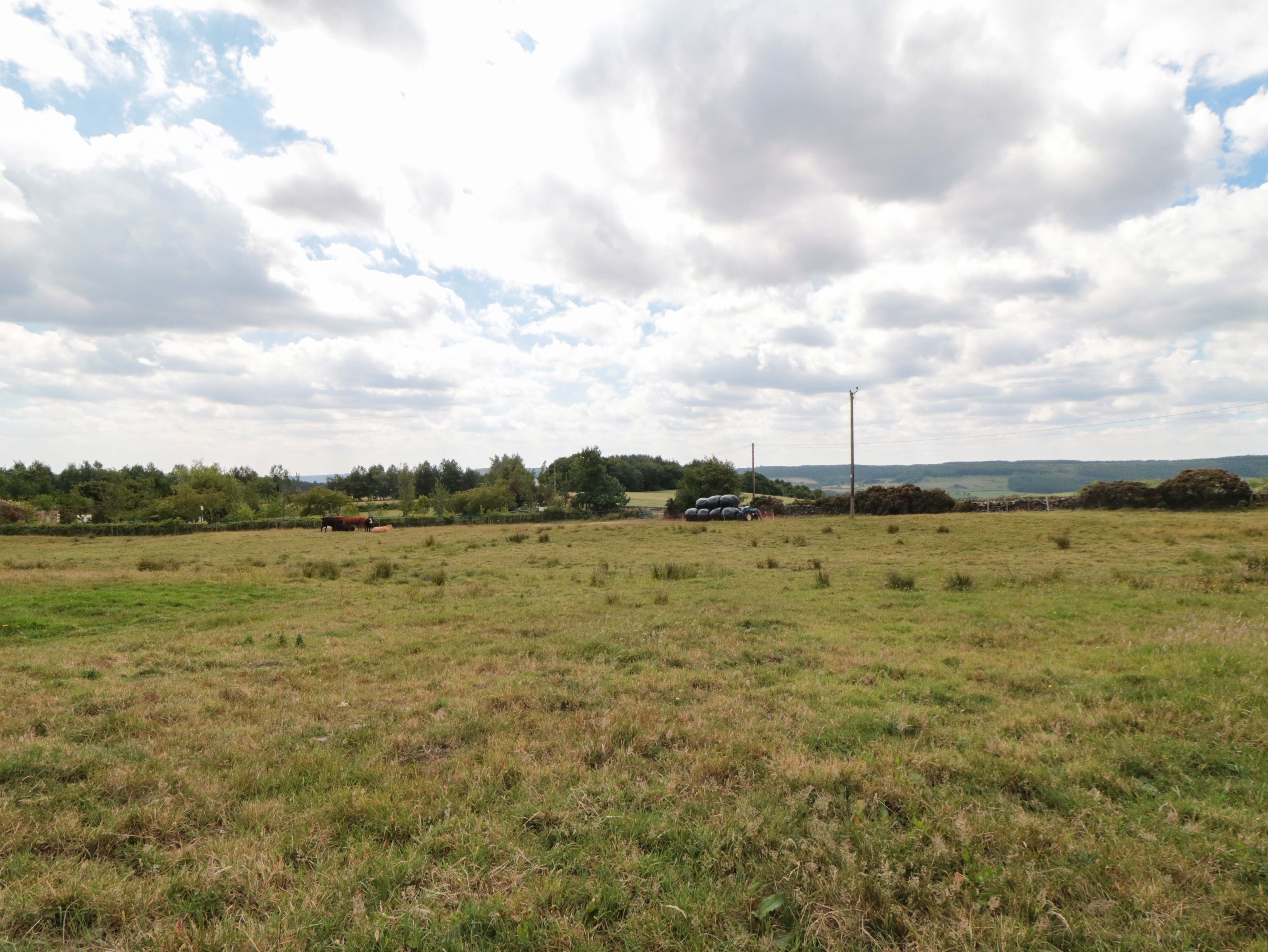 Property image 19 for SC1156935