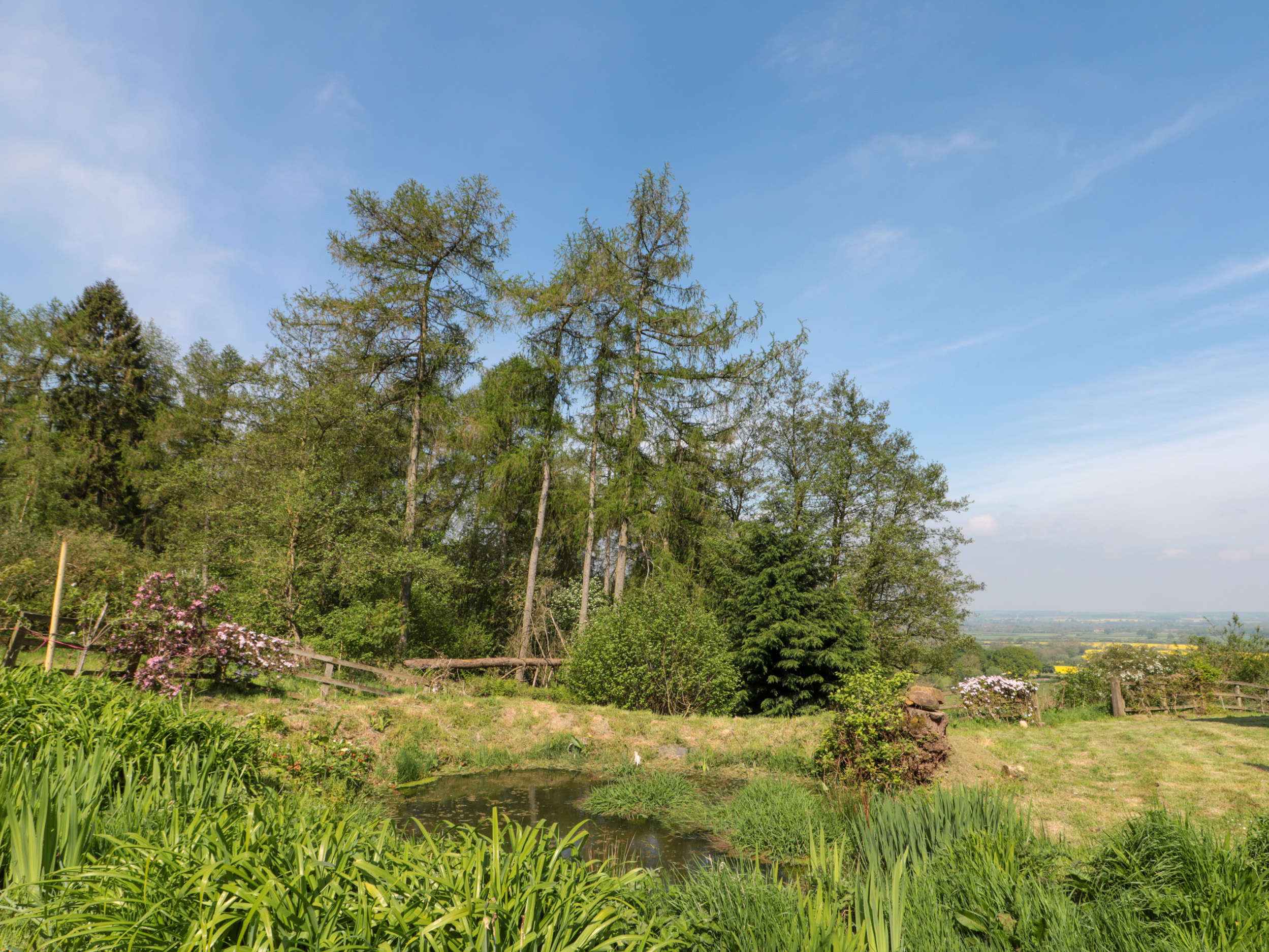 Property image 12 for SC1157229