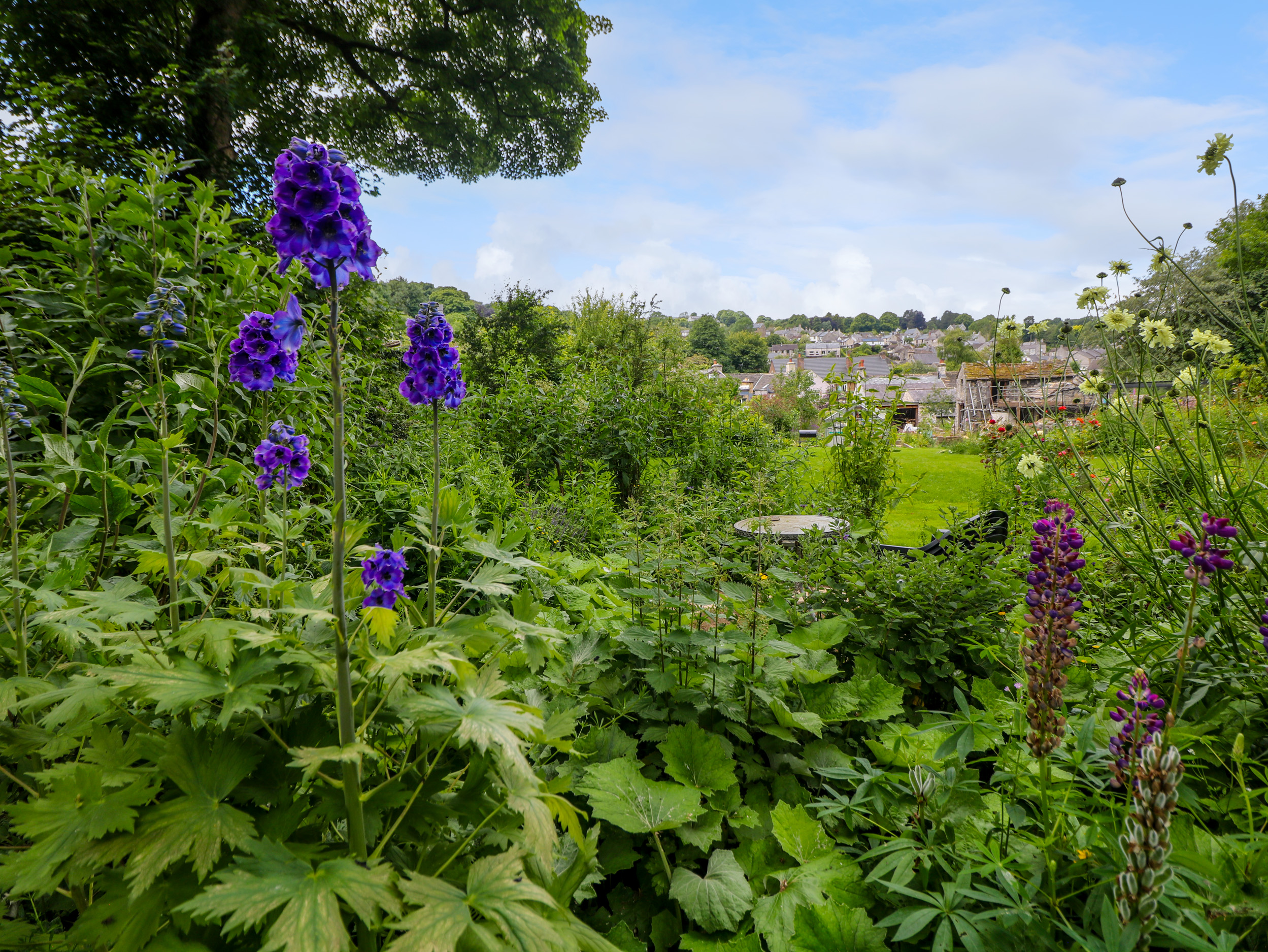 Property image 18 for SC1158265