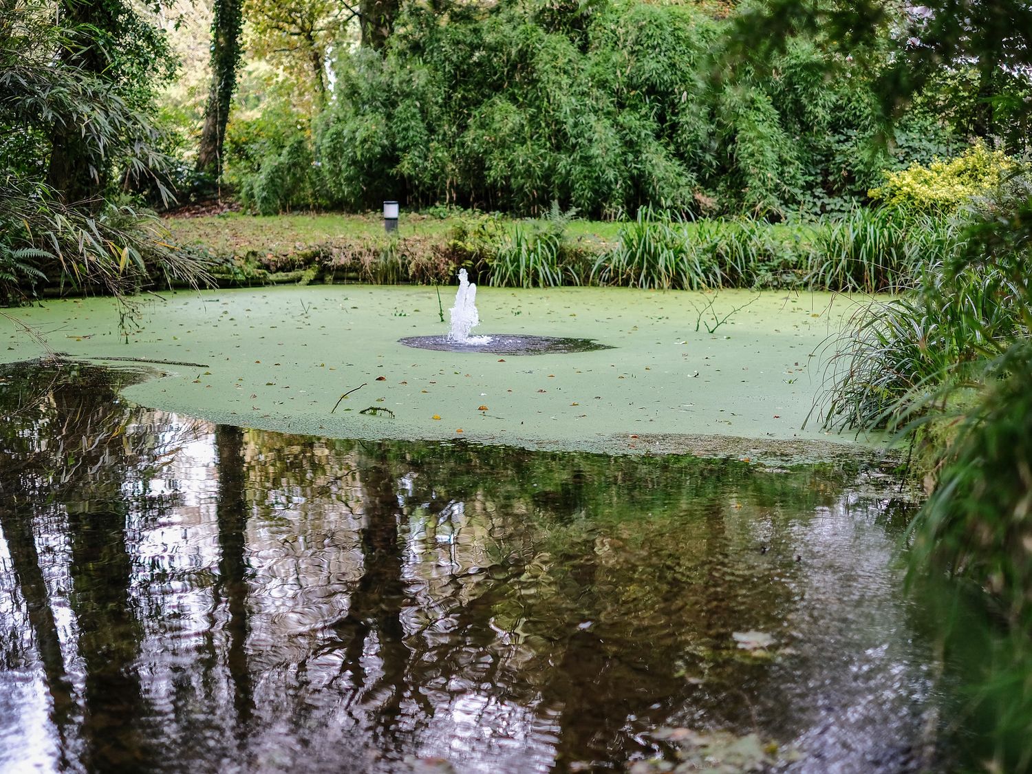 Property image 26 for SC1159121