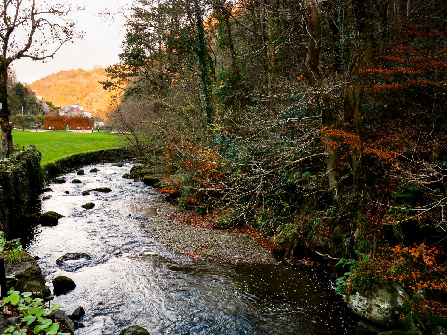 Property image 20 for SC1159333