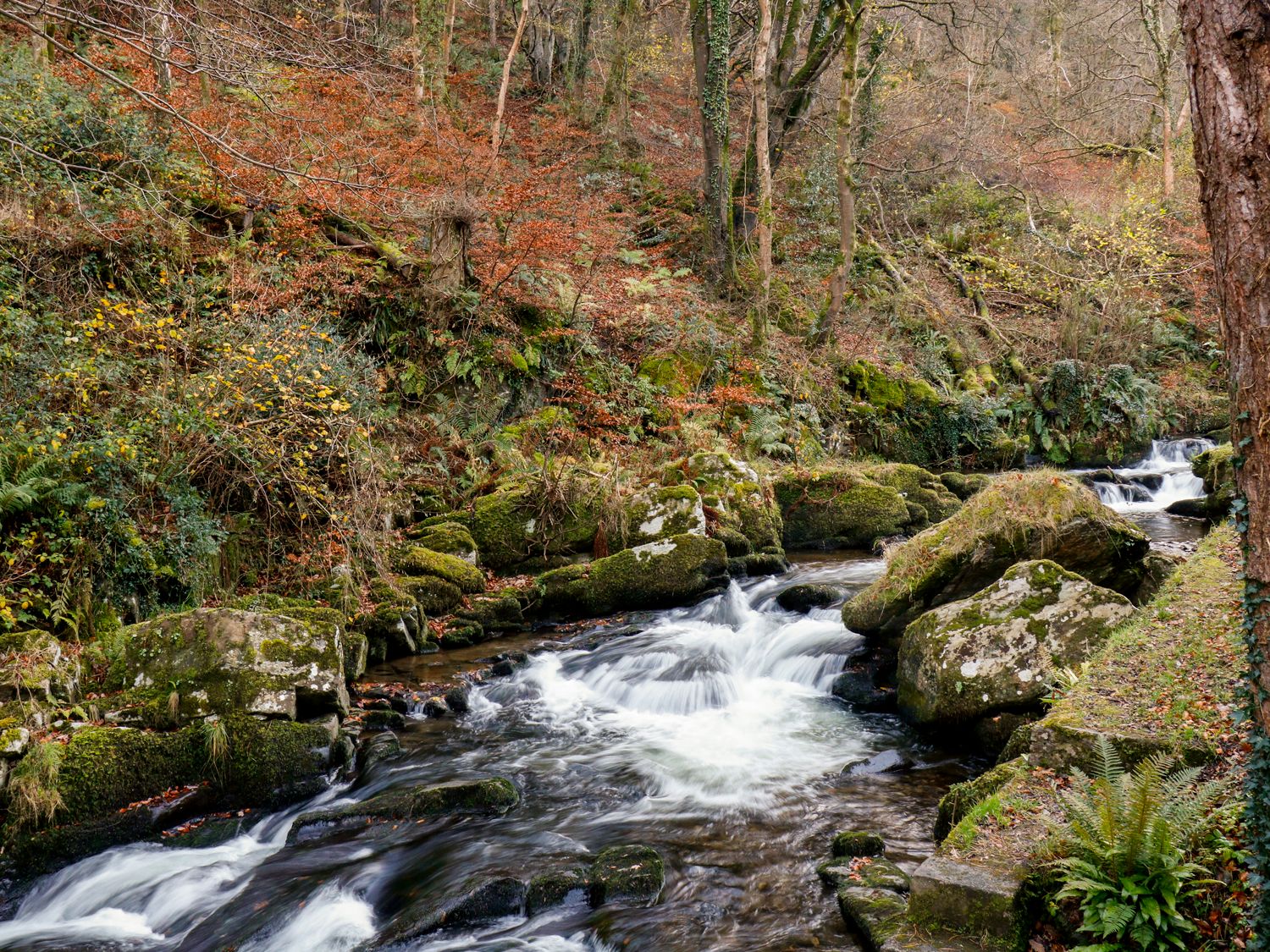 Property image 21 for SC1159333