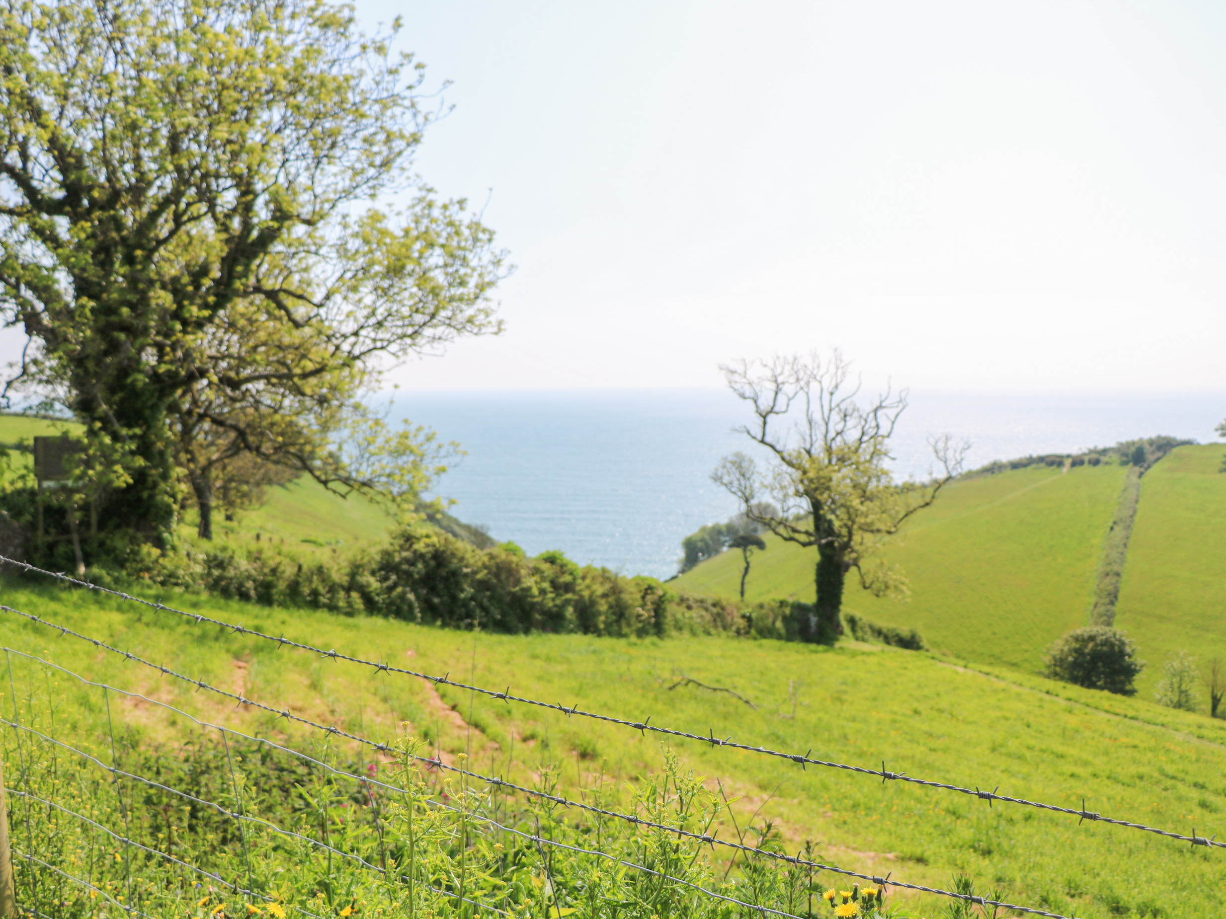 Property image 13 for SC1160015