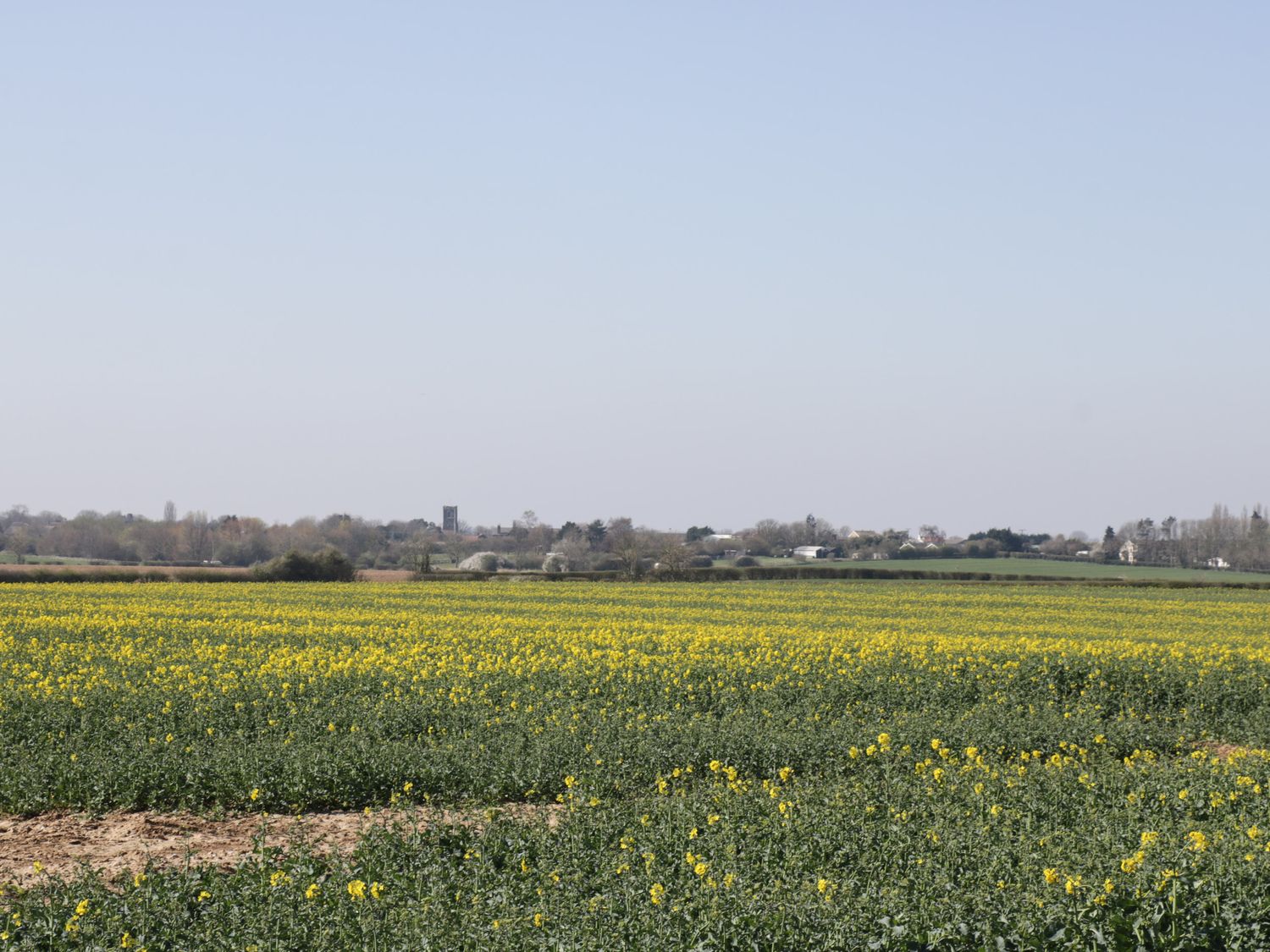 Property image 15 for SC1163039